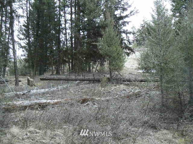19 Miners Ridge Road Oroville, WA 98844 - Photo 4 of 6