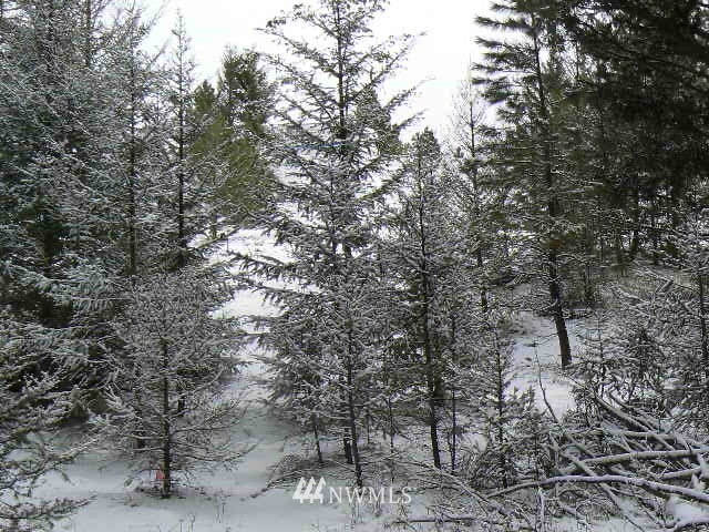 19 Miners Ridge Road Oroville, WA 98844 - Photo 5 of 6