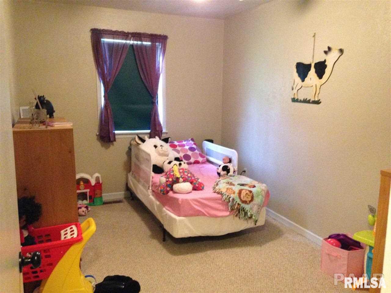 147 Sheffield Road Groveland, IL 61535 - Photo 27 of 35