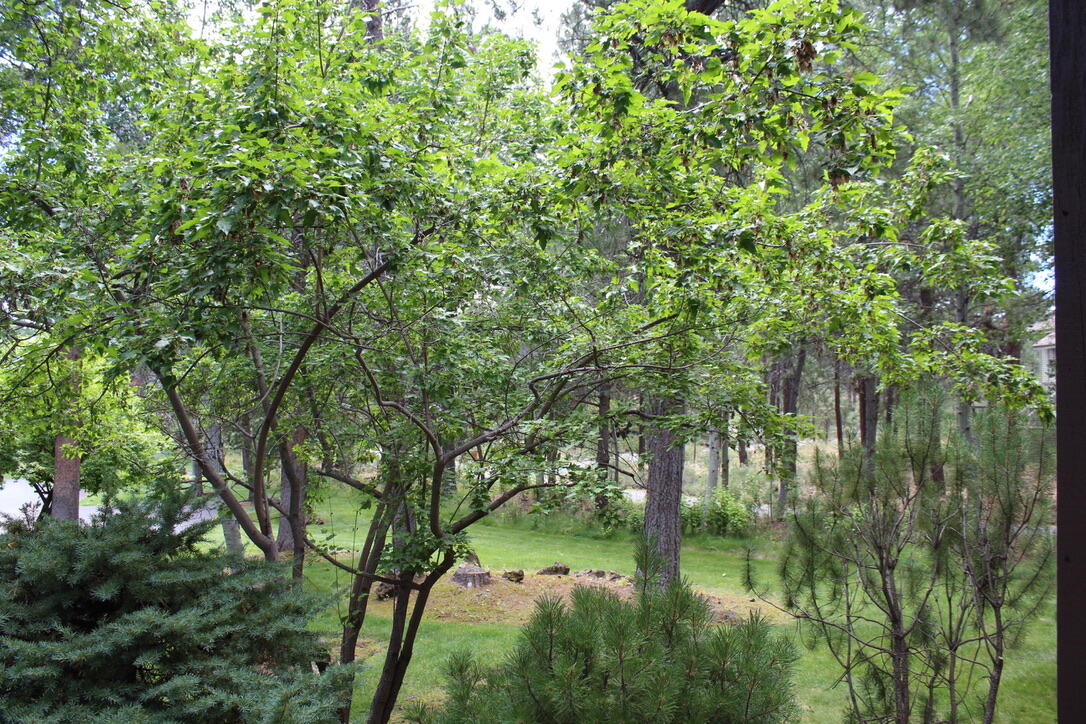 57351 Beaver Ridge Loop, Unit 19B2 Sunriver, OR 97707 - Photo 18 of 22 19-R19