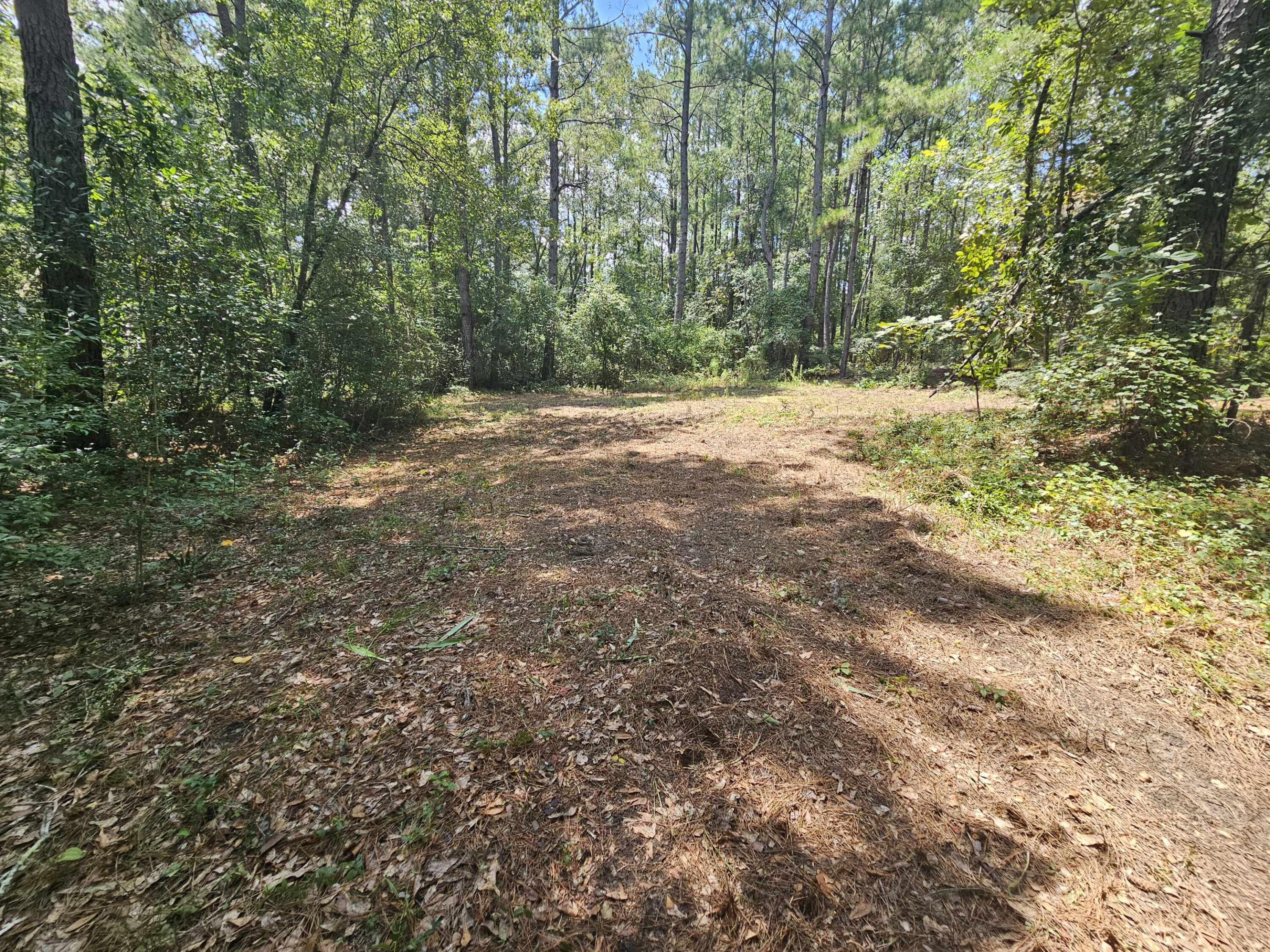 7173 Capers Path Aiken, SC 29803 - Photo 12 of 57 Path