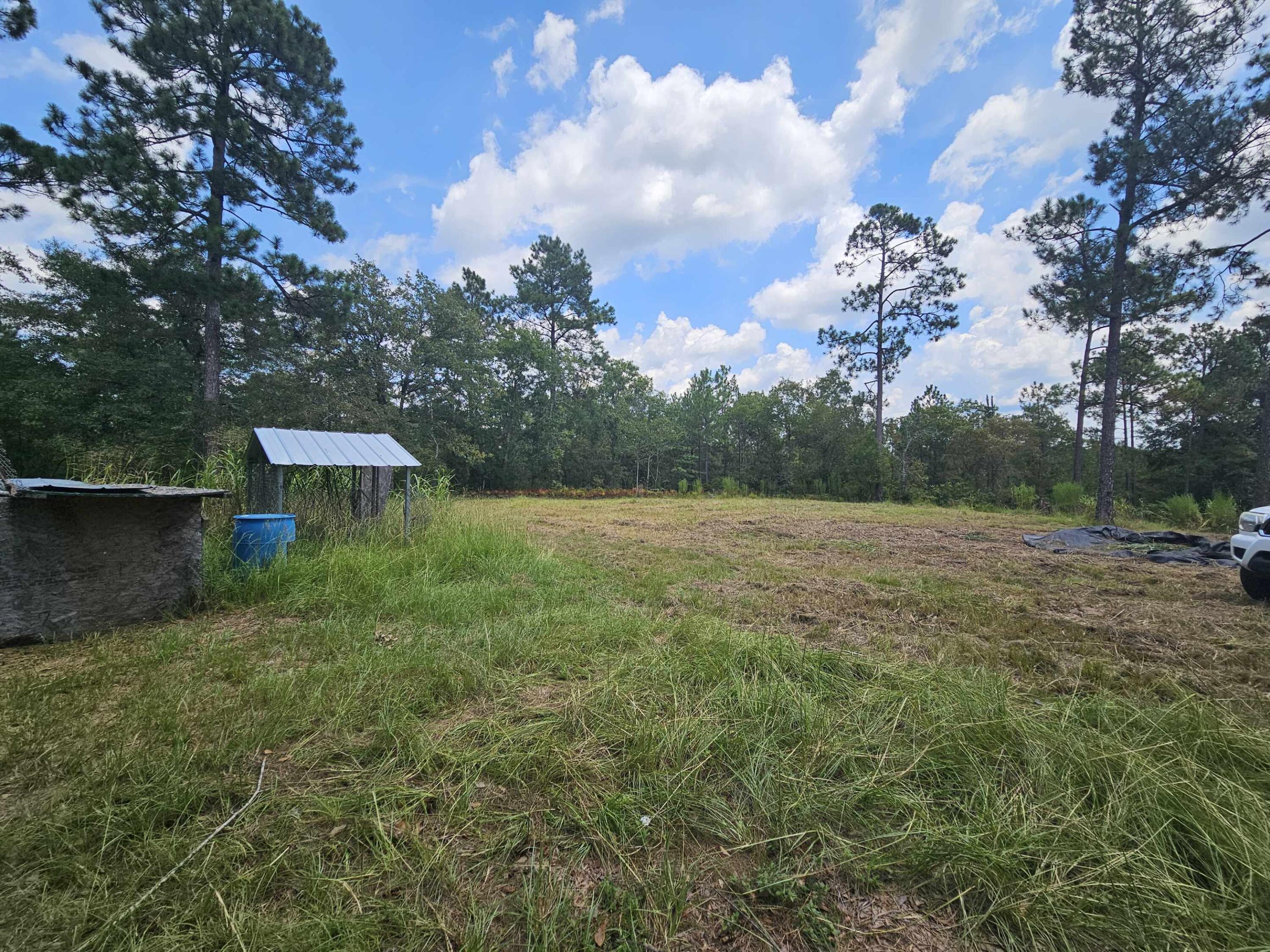 7173 Capers Path Aiken, SC 29803 - Photo 13 of 57 Side Yard