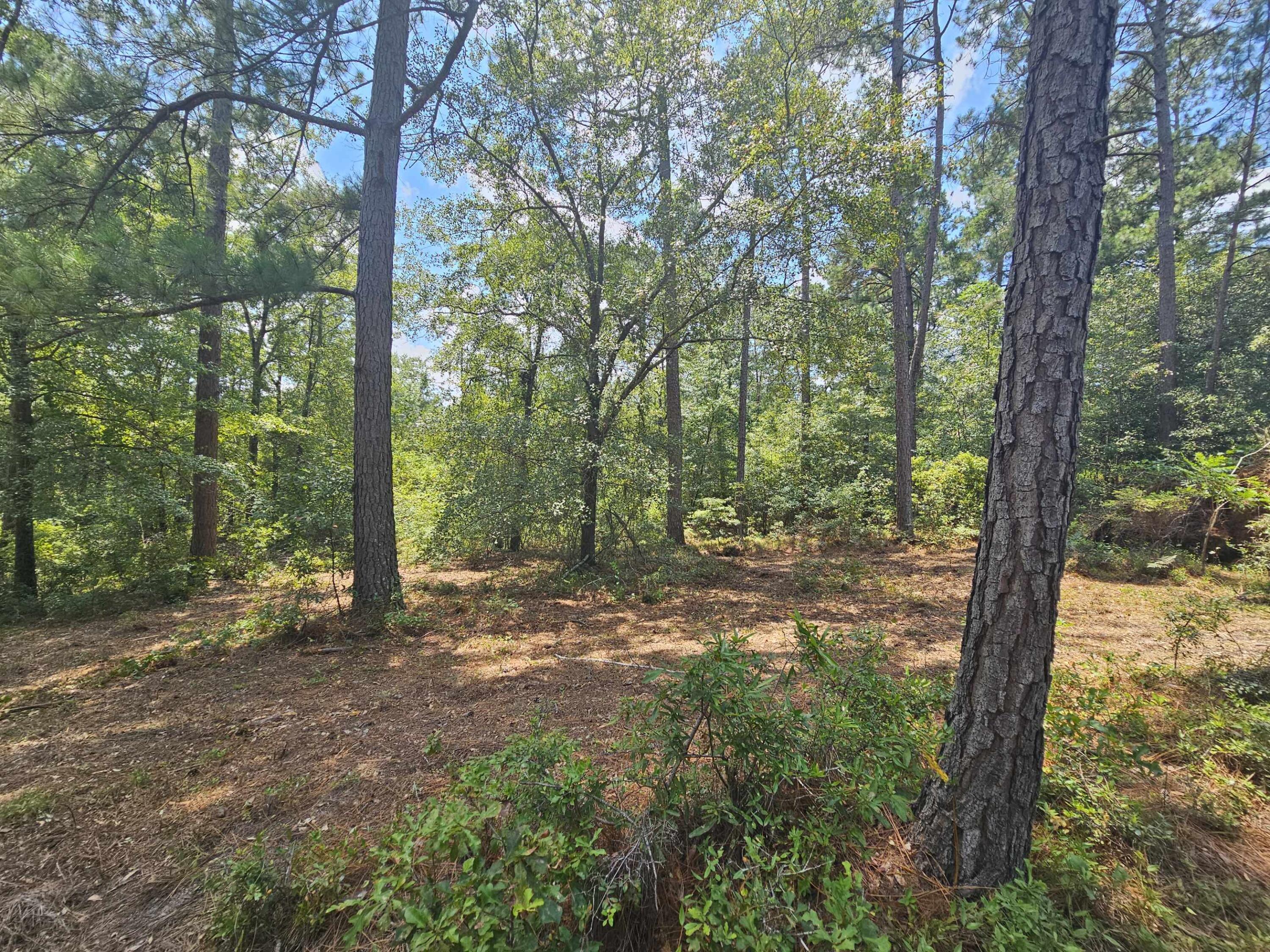 7173 Capers Path Aiken, SC 29803 - Photo 14 of 57 Path