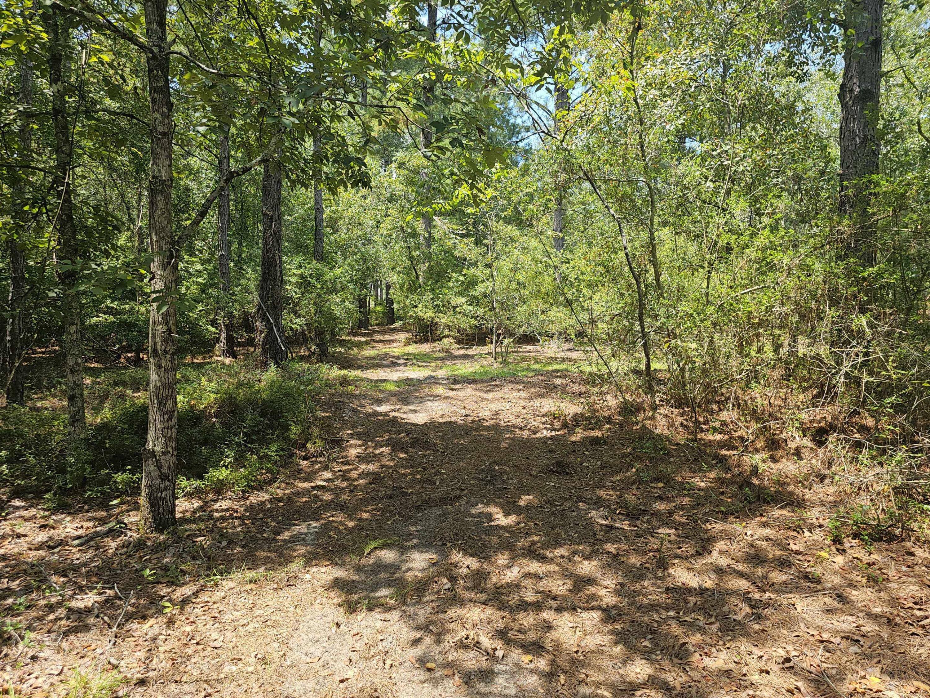 7173 Capers Path Aiken, SC 29803 - Photo 16 of 57 Path