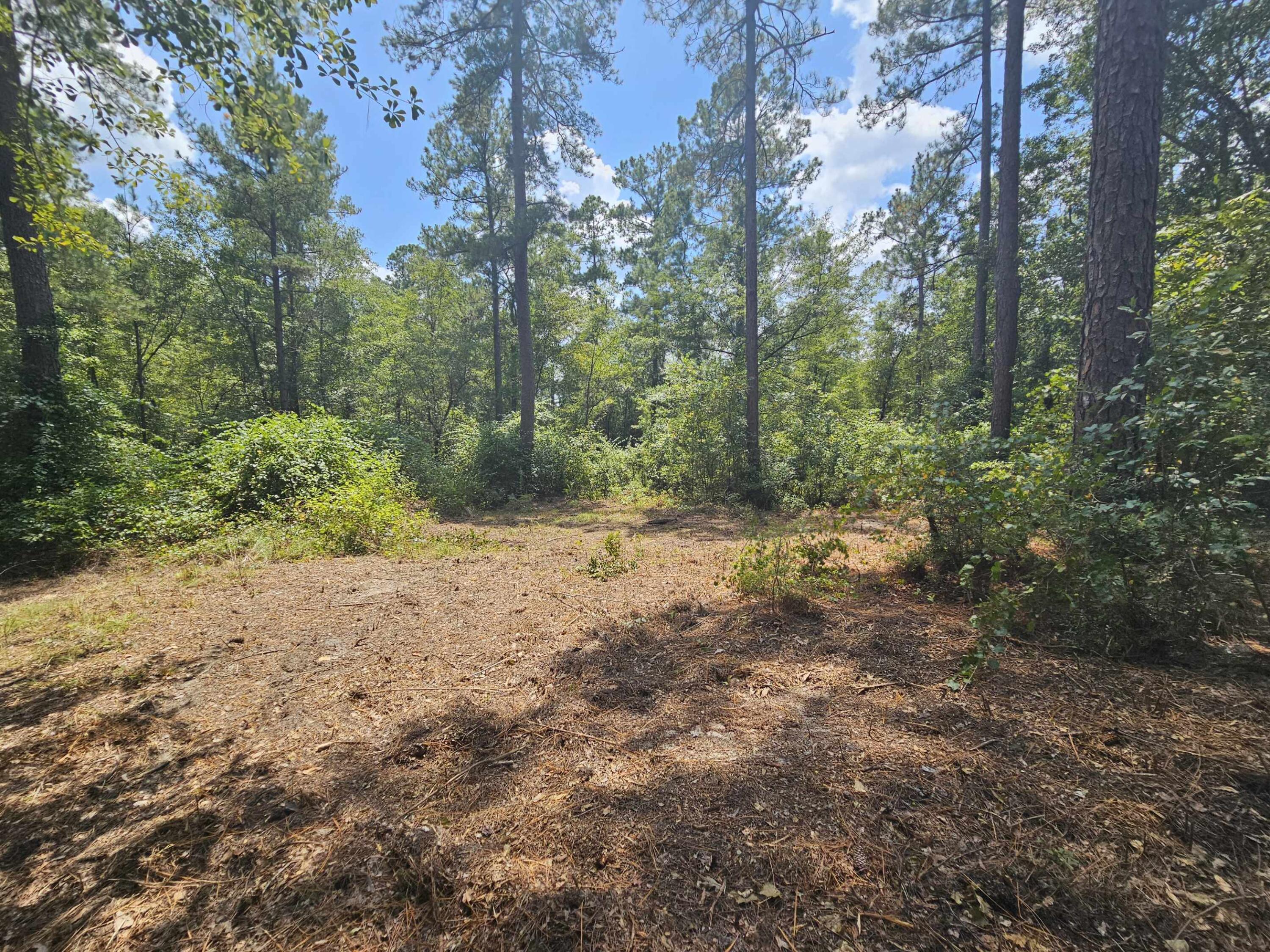 7173 Capers Path Aiken, SC 29803 - Photo 17 of 57 Path