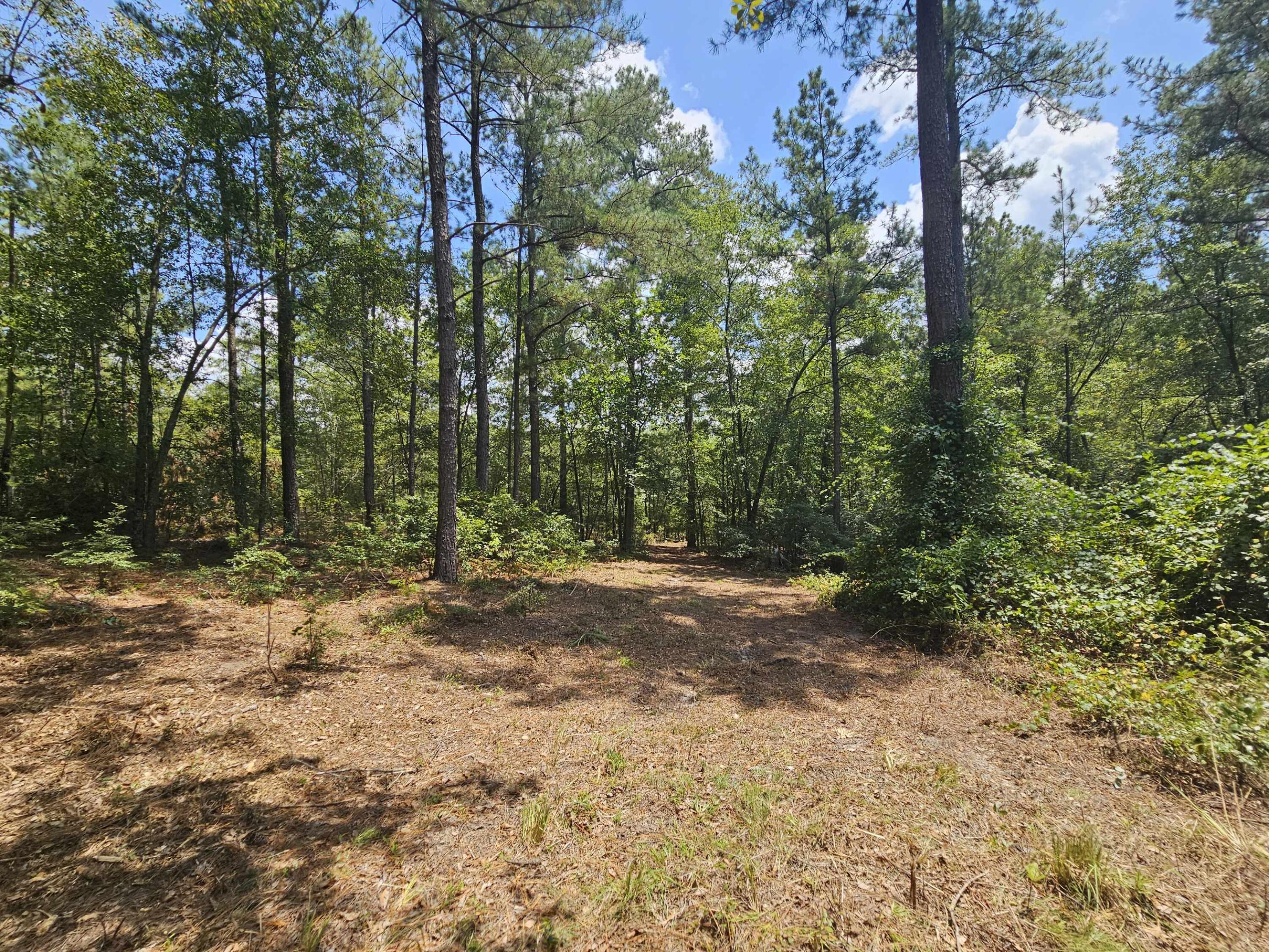 7173 Capers Path Aiken, SC 29803 - Photo 18 of 57 Path