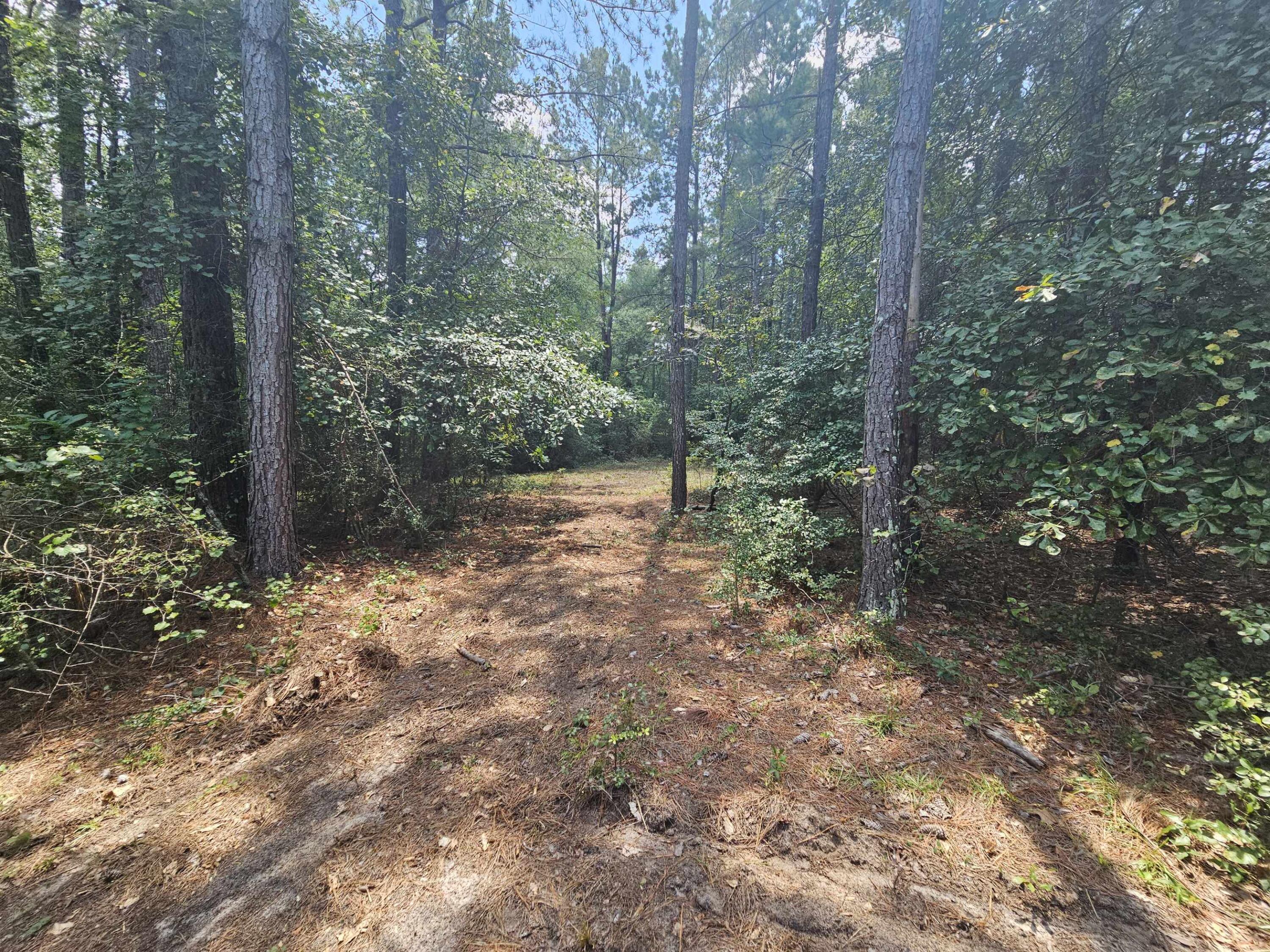 7173 Capers Path Aiken, SC 29803 - Photo 19 of 57 Path