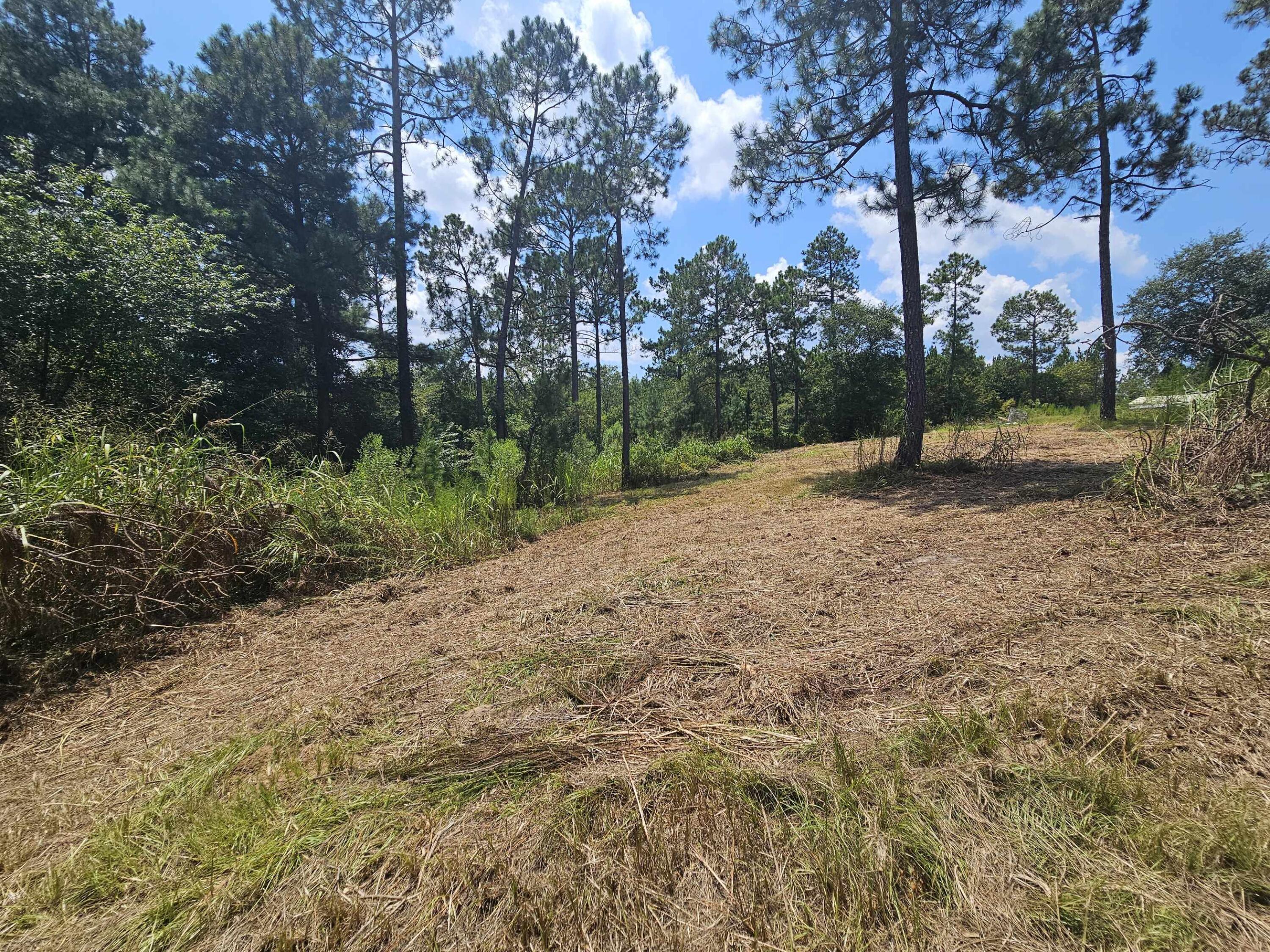 7173 Capers Path Aiken, SC 29803 - Photo 20 of 57 Path