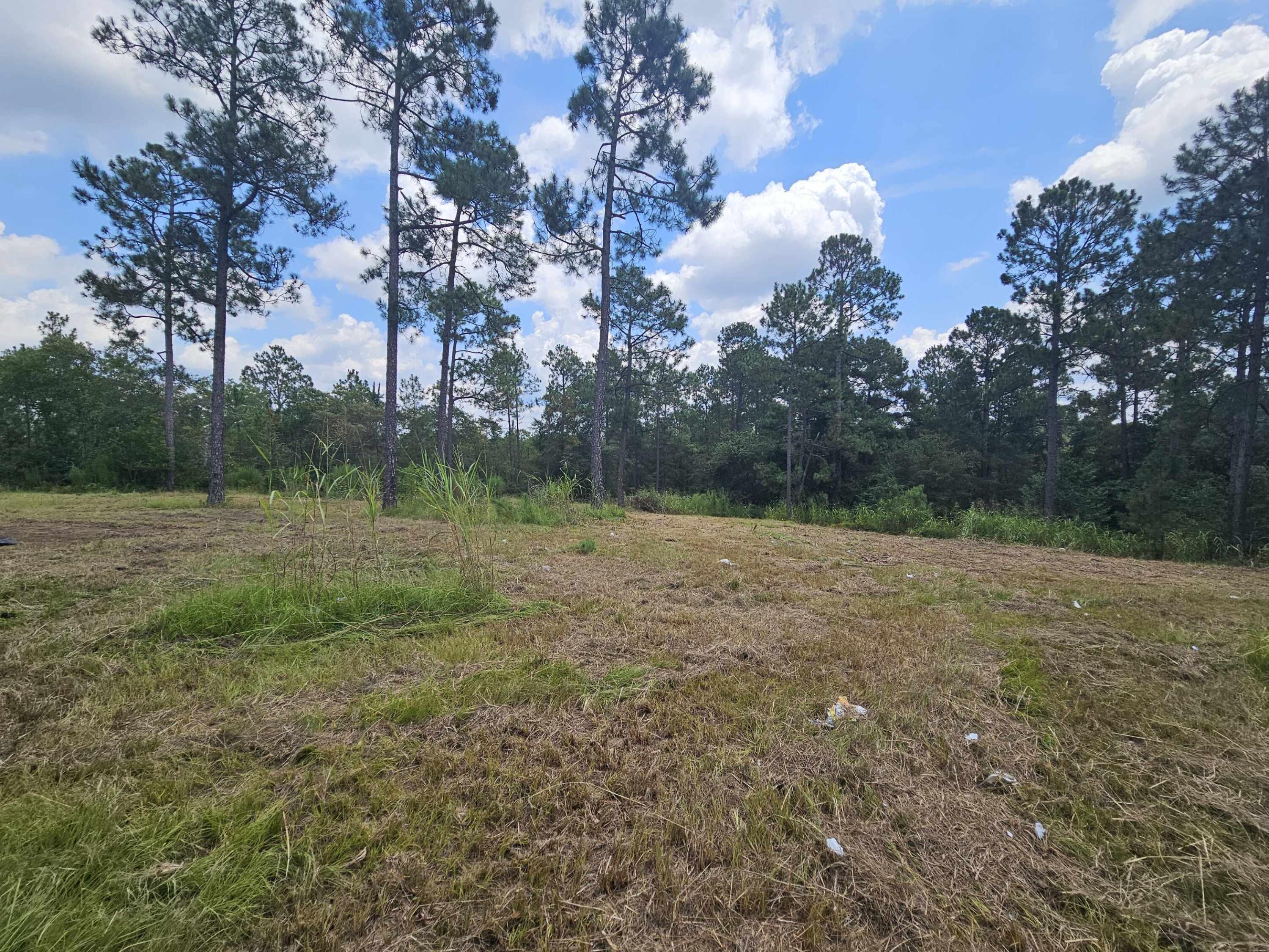 7173 Capers Path Aiken, SC 29803 - Photo 21 of 57 Path