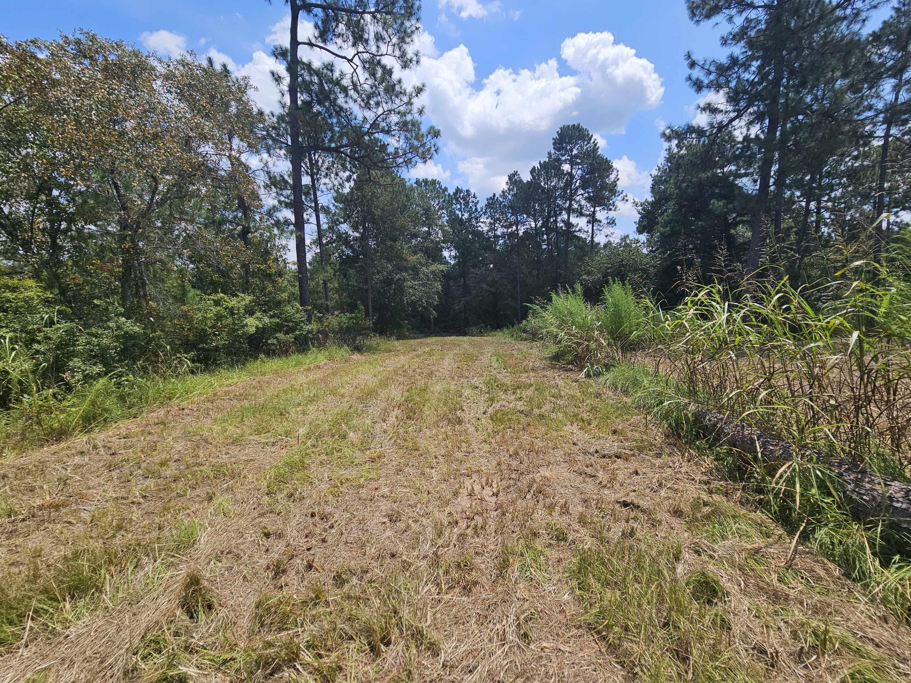 7173 Capers Path Aiken, SC 29803 - Photo 22 of 57 Path