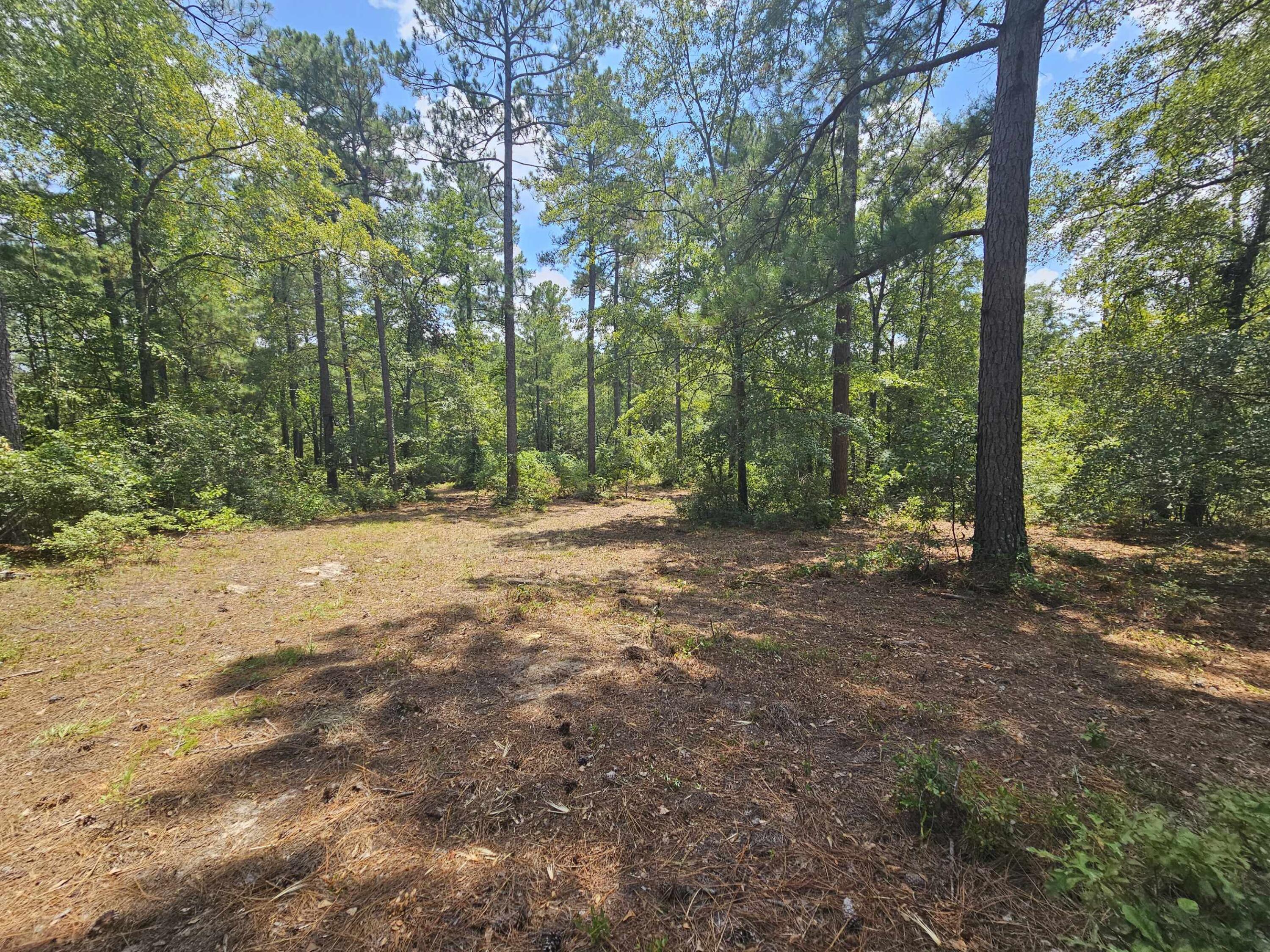 7173 Capers Path Aiken, SC 29803 - Photo 23 of 57 Path
