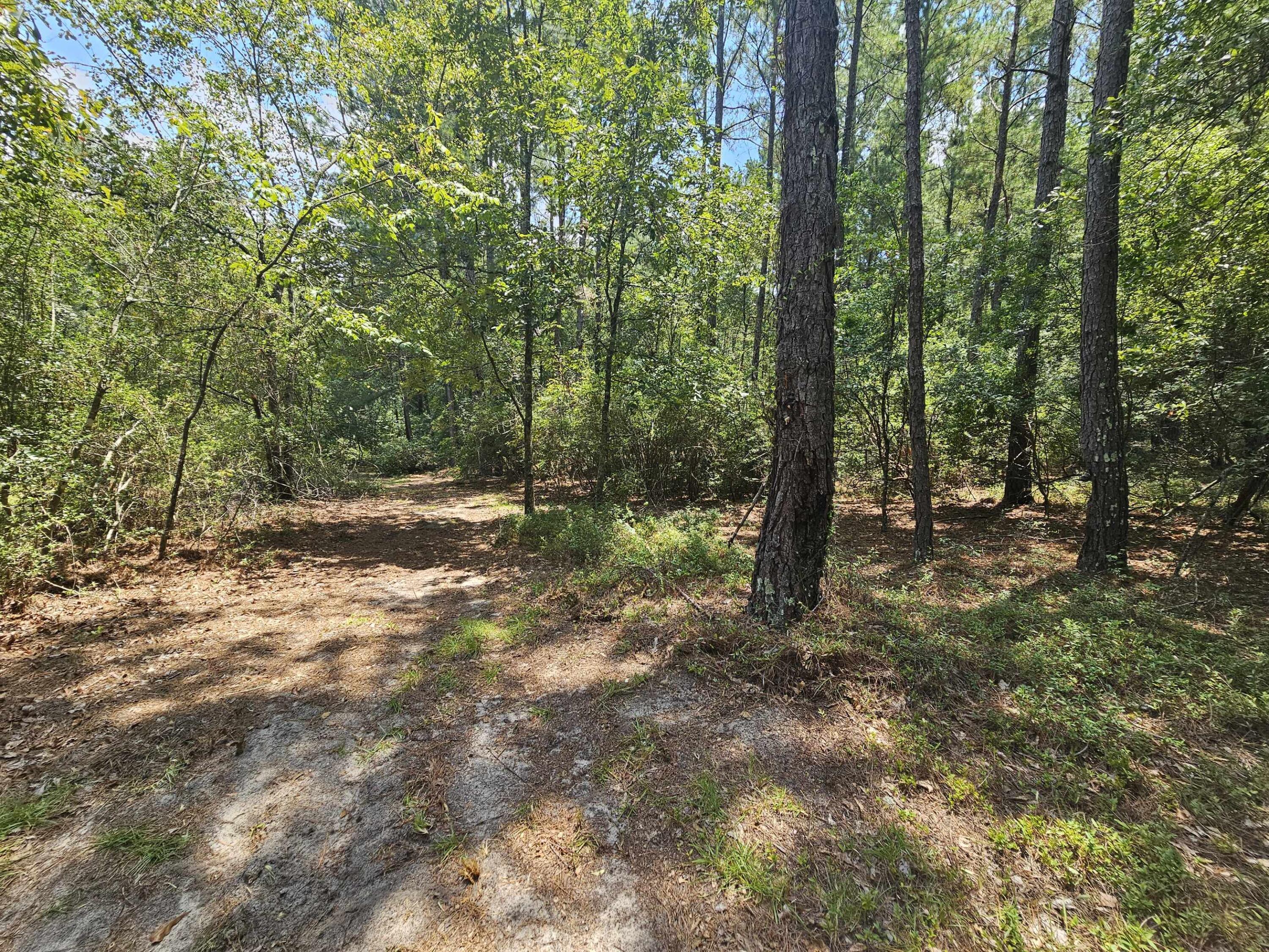 7173 Capers Path Aiken, SC 29803 - Photo 24 of 57 Path