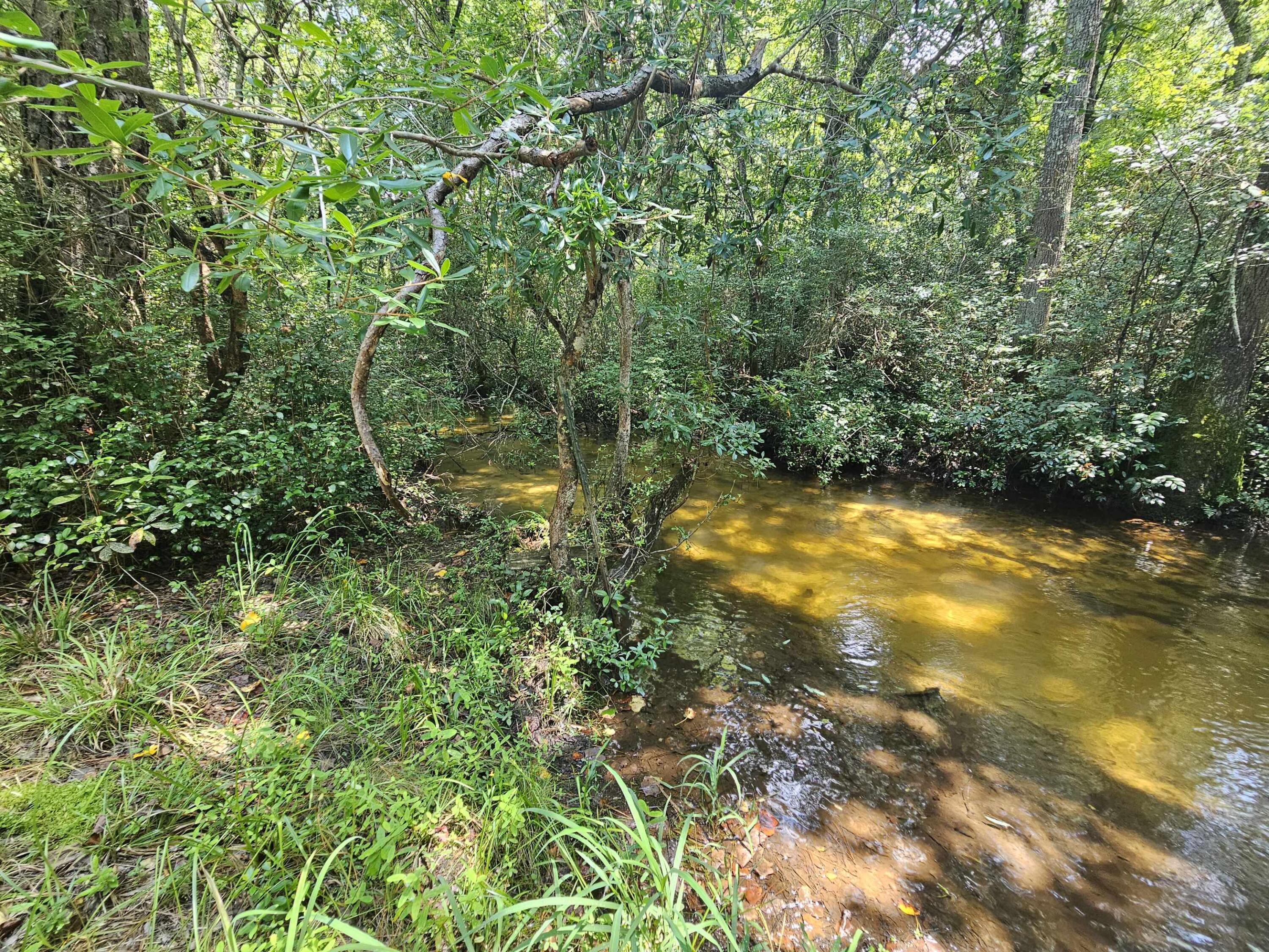 7173 Capers Path Aiken, SC 29803 - Photo 25 of 57 Three Runs Creek