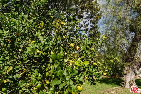 $5,250,000 | 24901 Jim Bridger Road, Hidden Hills, CA 91302