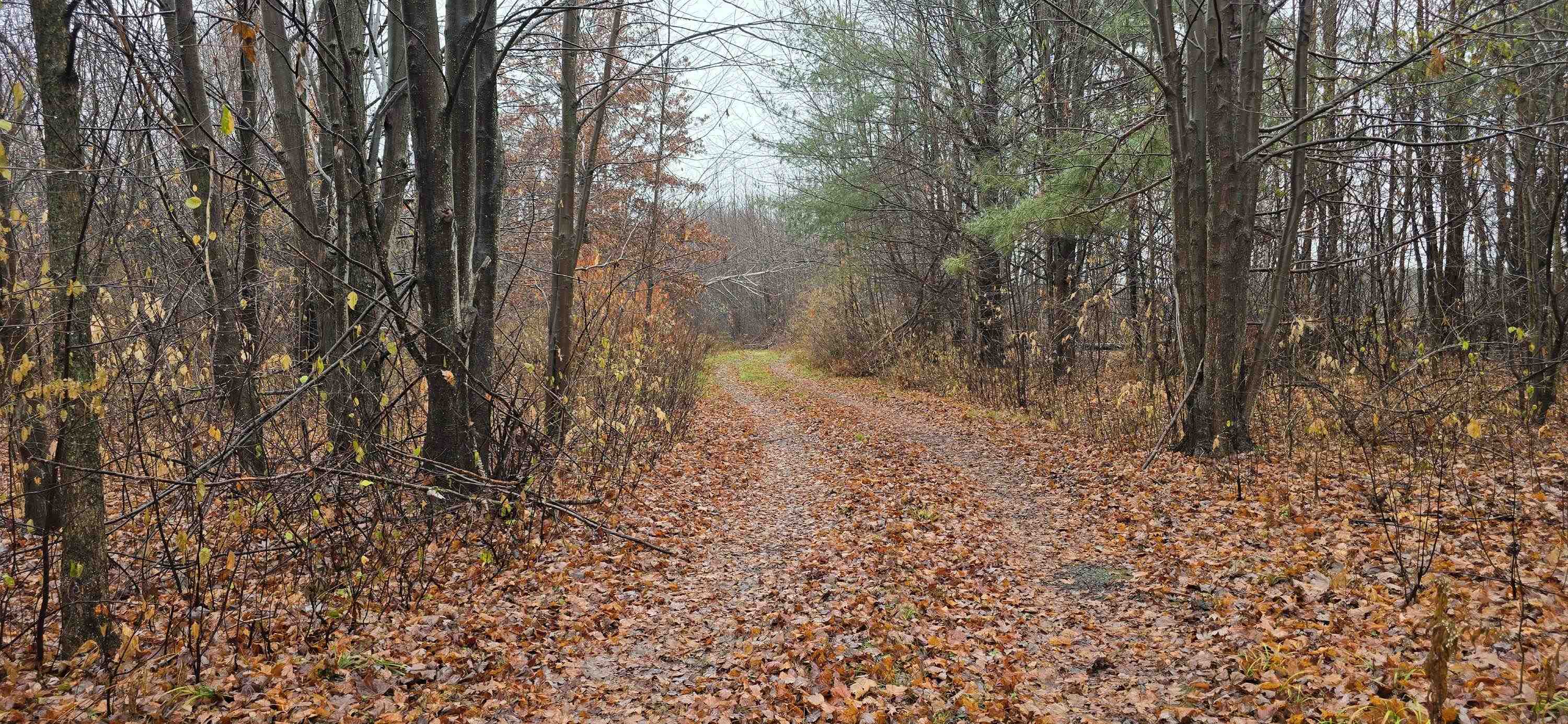 North County Rd WW Road Merrill, WI 54452 - Photo 1 of 8