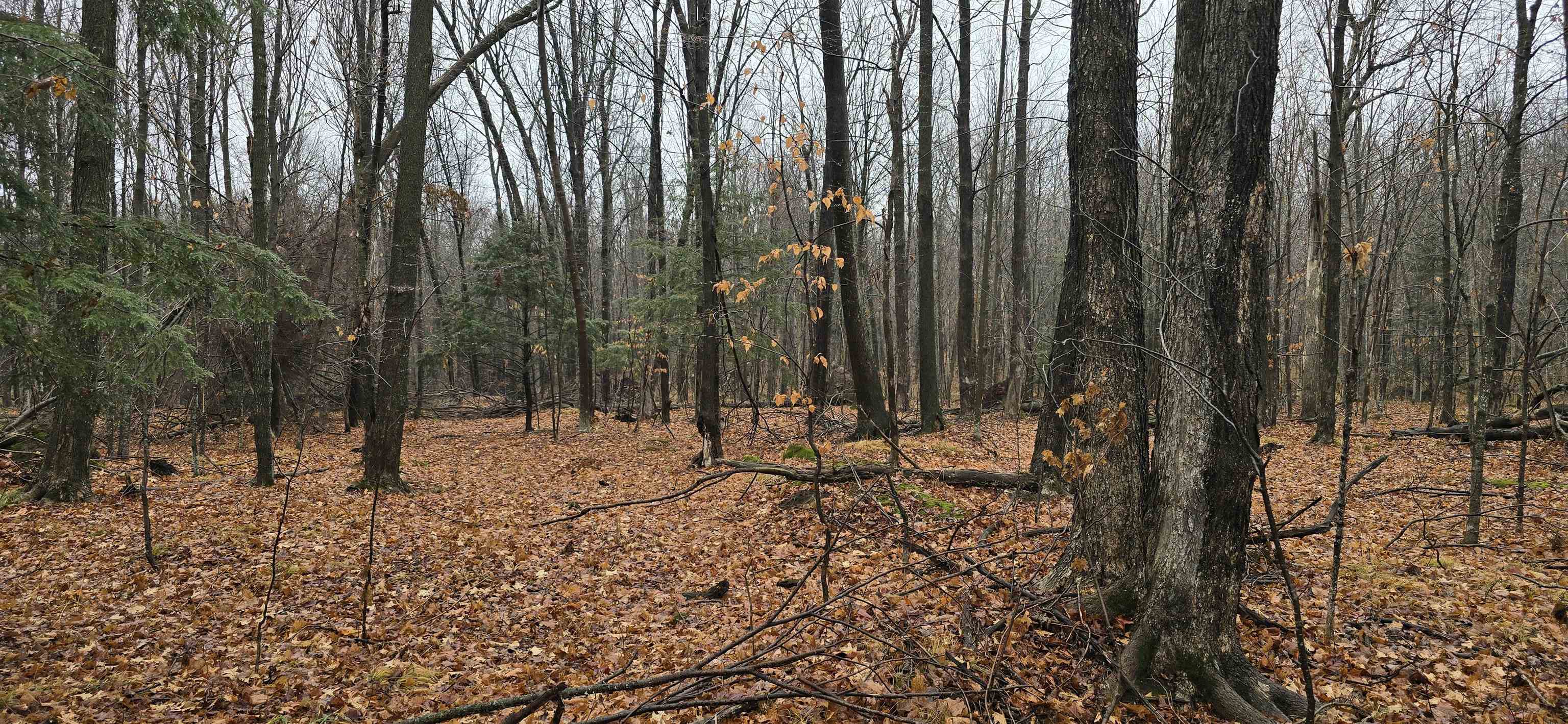 North County Rd WW Road Merrill, WI 54452 - Photo 4 of 8