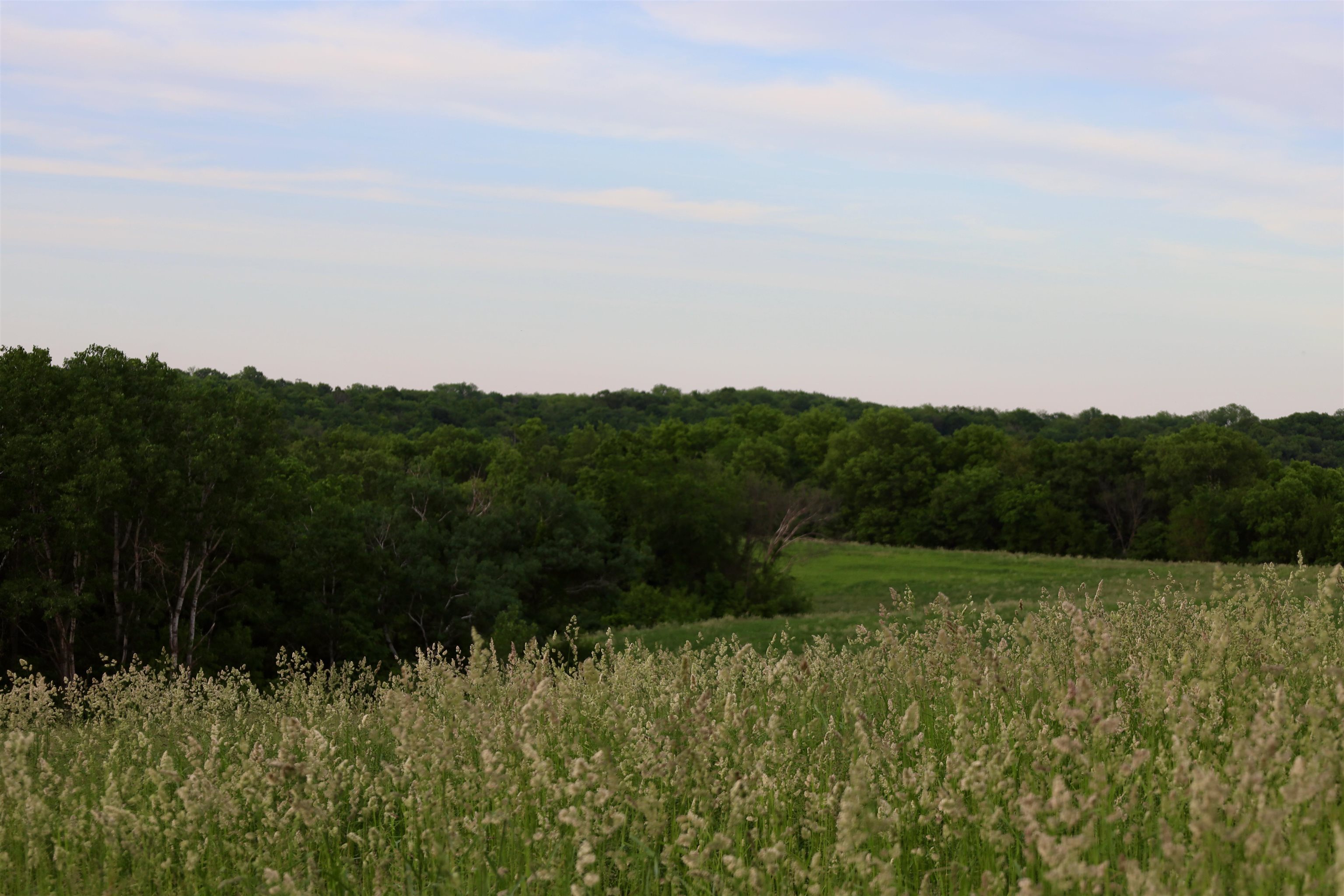 0 County M Boscobel, WI 53805 - Photo 17 of 32