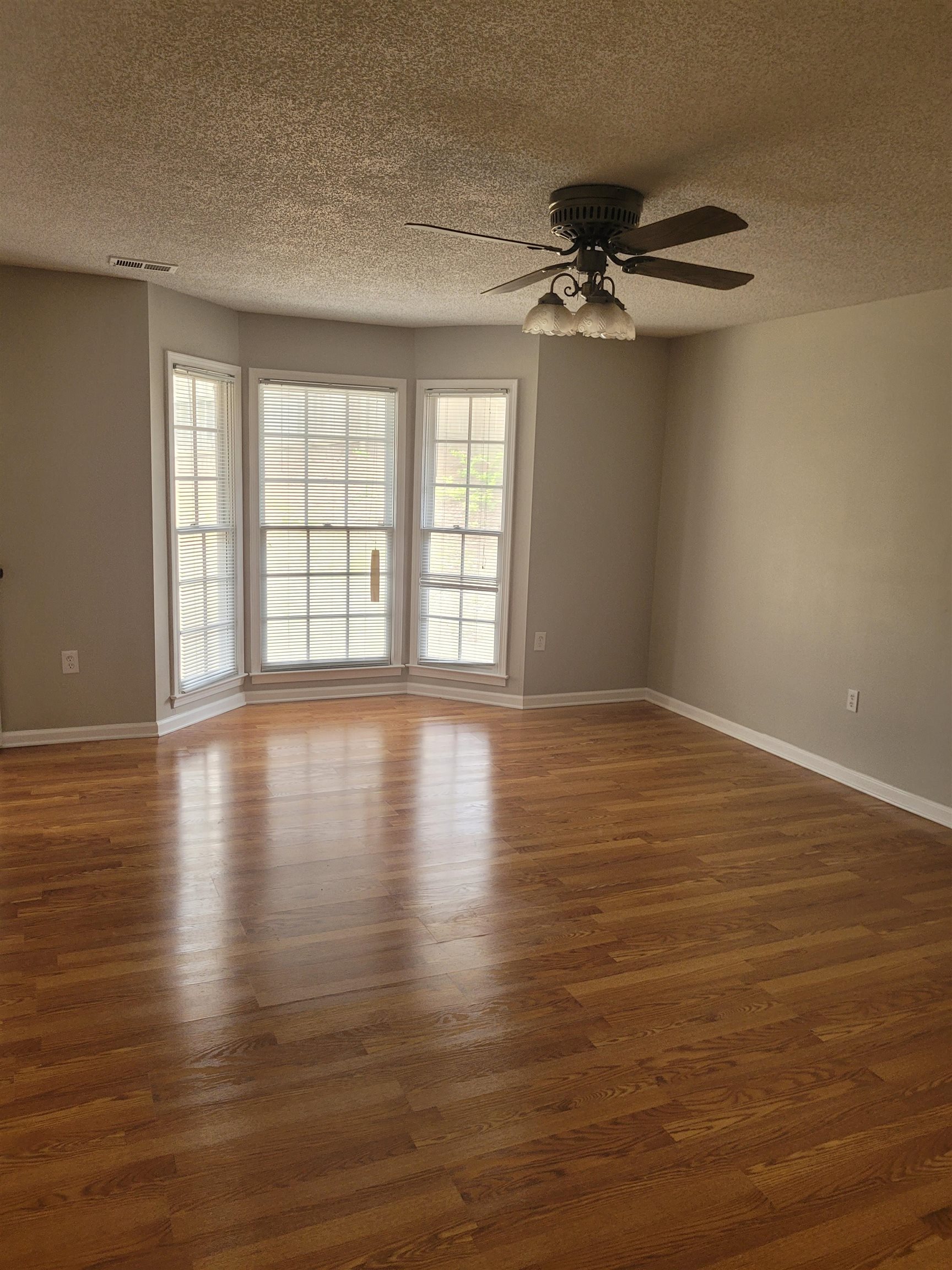 138 Walnut Ridge Lane Memphis, TN 38018 - Photo 10 of 17 Masterbedroom Bay window