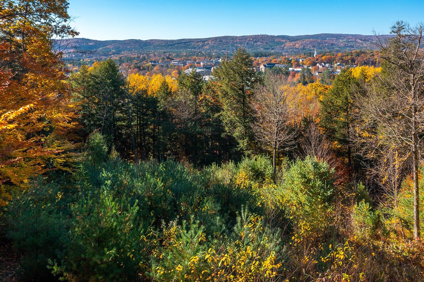 37 Low Road Hanover, NH 03755 - Photo 11 of 28