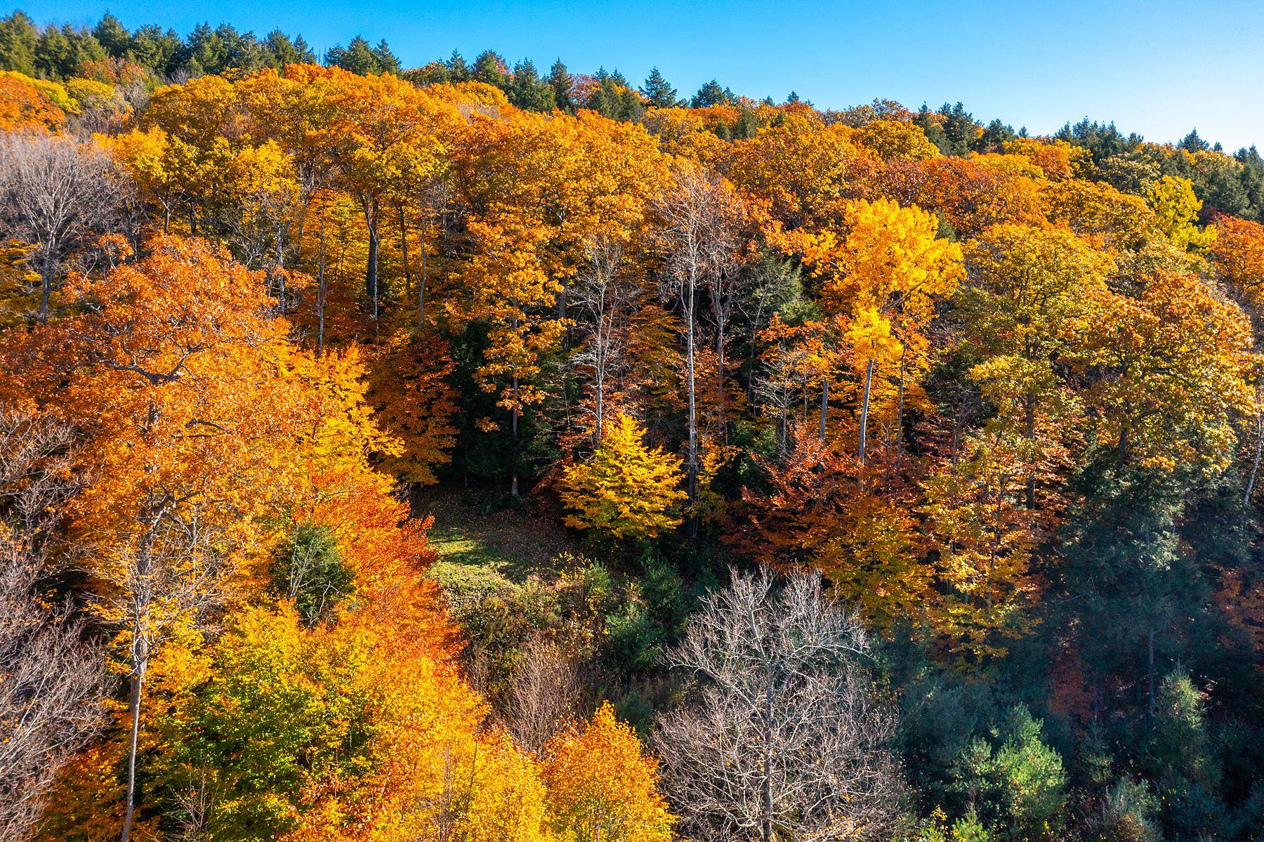 37 Low Road Hanover, NH 03755 - Photo 12 of 28