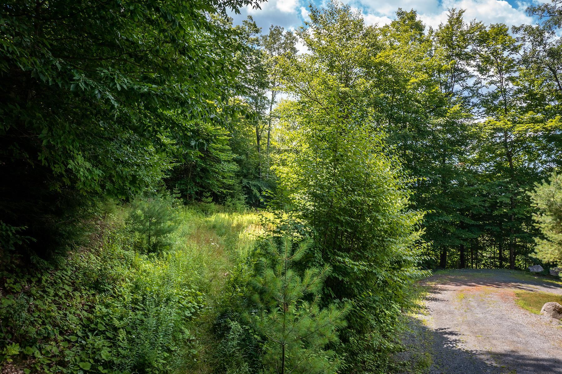 37 Low Road Hanover, NH 03755 - Photo 14 of 28