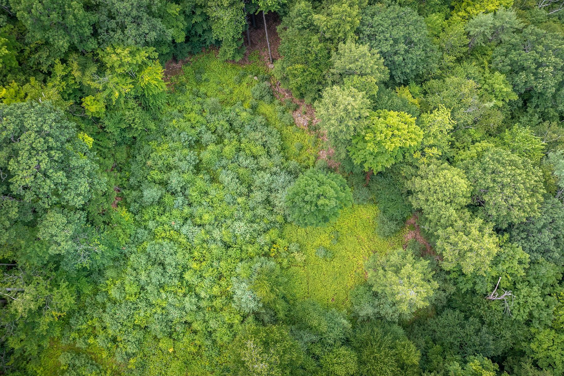 37 Low Road Hanover, NH 03755 - Photo 16 of 28