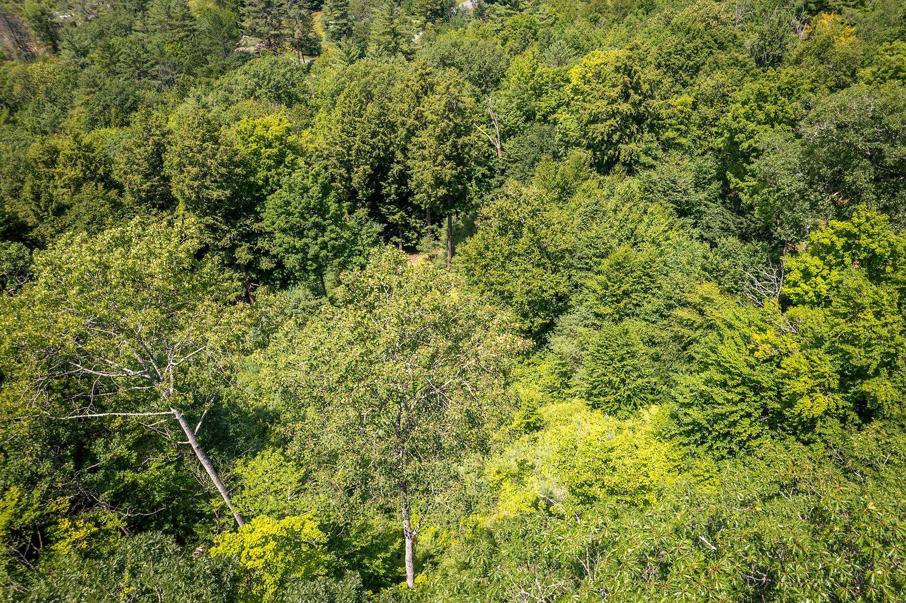 37 Low Road Hanover, NH 03755 - Photo 17 of 28