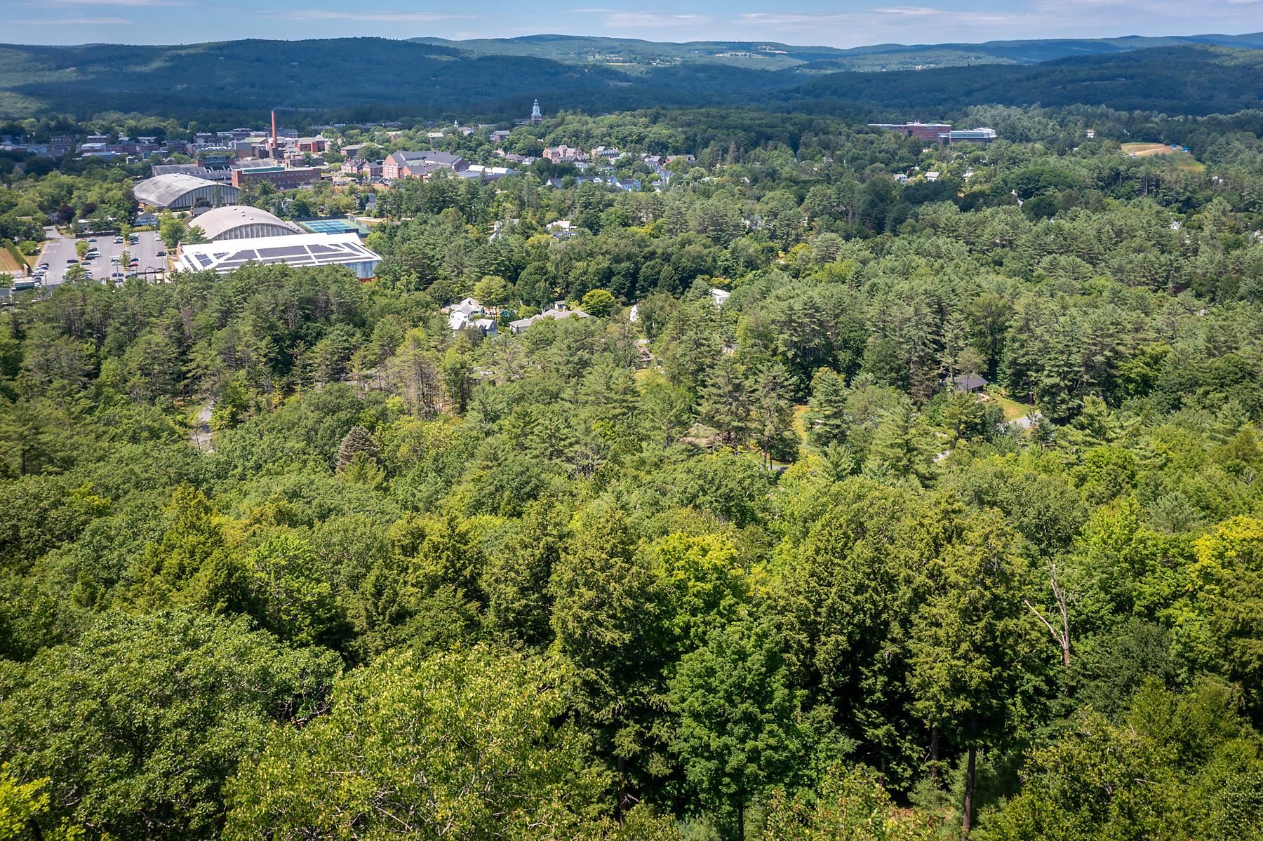 37 Low Road Hanover, NH 03755 - Photo 18 of 28