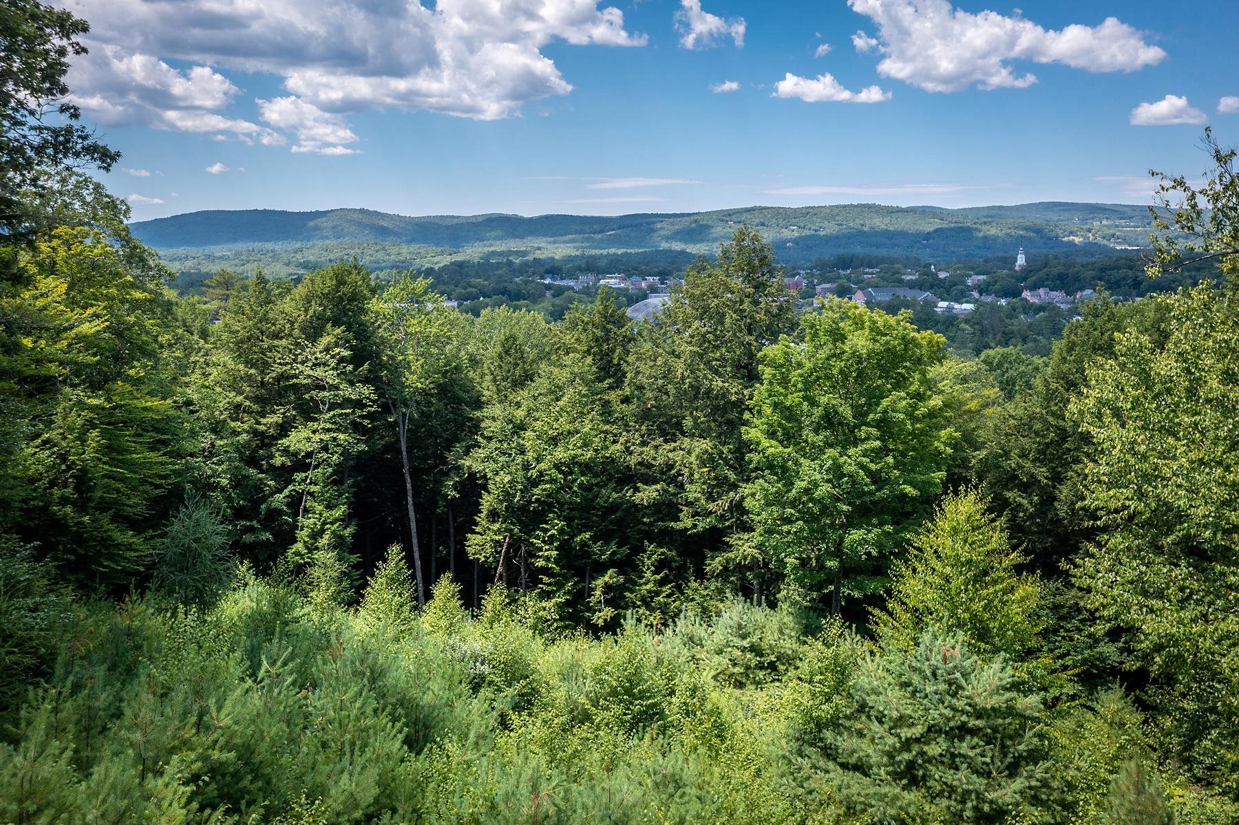 37 Low Road Hanover, NH 03755 - Photo 21 of 28