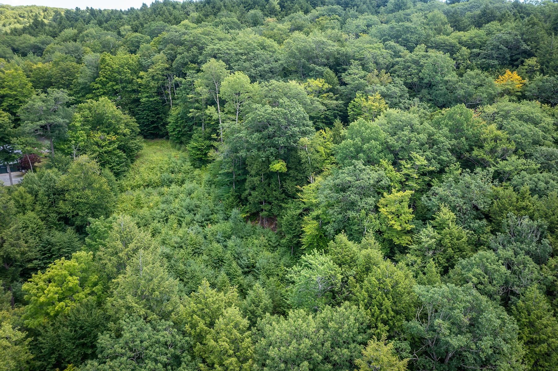 37 Low Road Hanover, NH 03755 - Photo 22 of 28