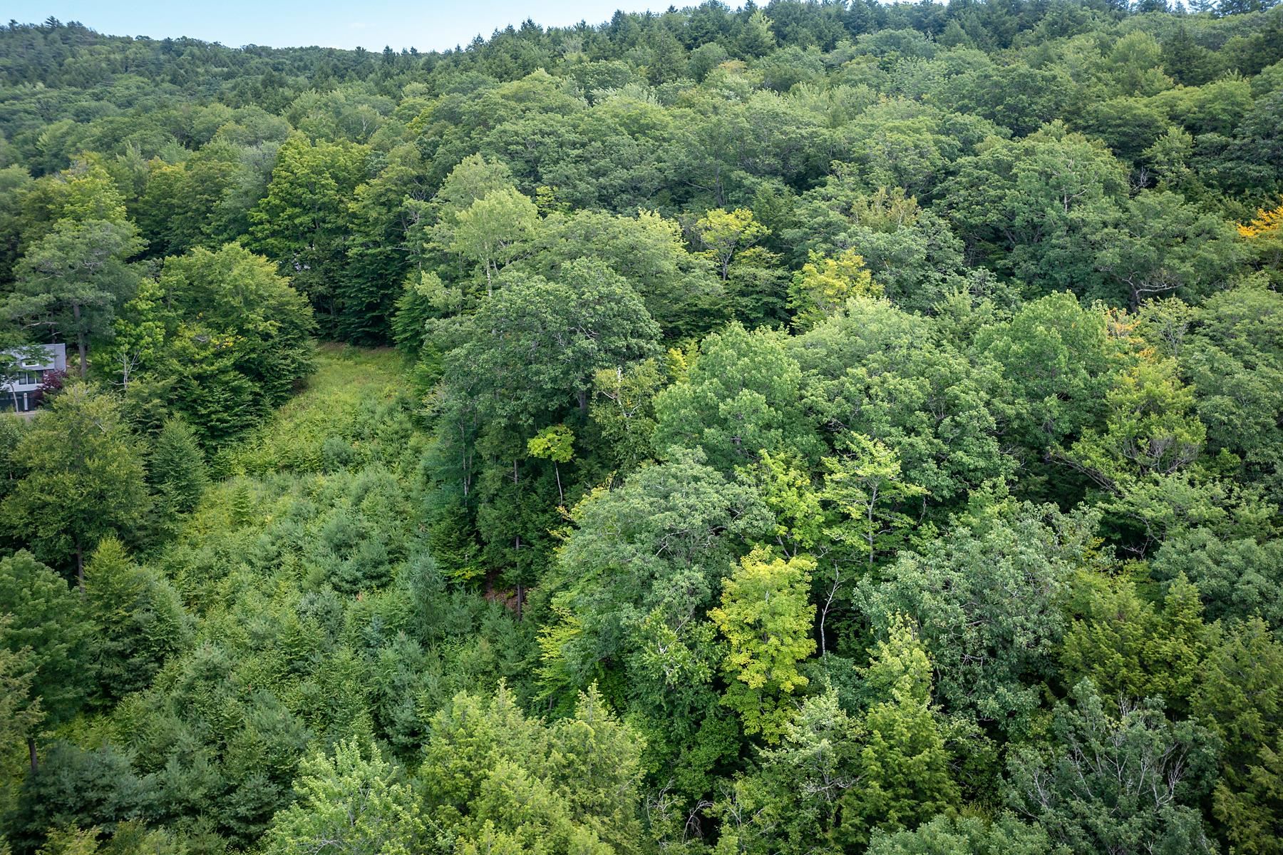 37 Low Road Hanover, NH 03755 - Photo 24 of 28