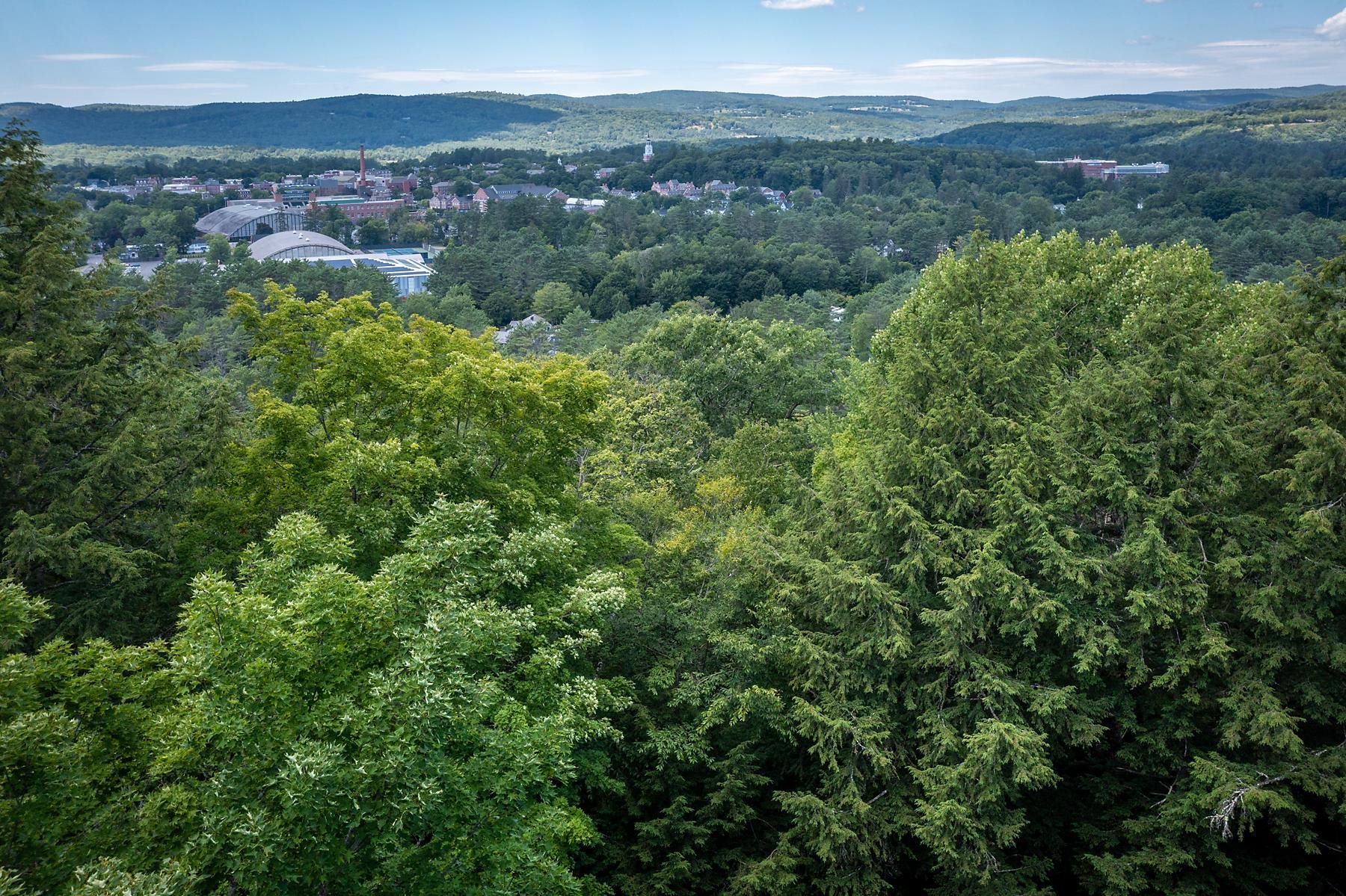 37 Low Road Hanover, NH 03755 - Photo 26 of 28