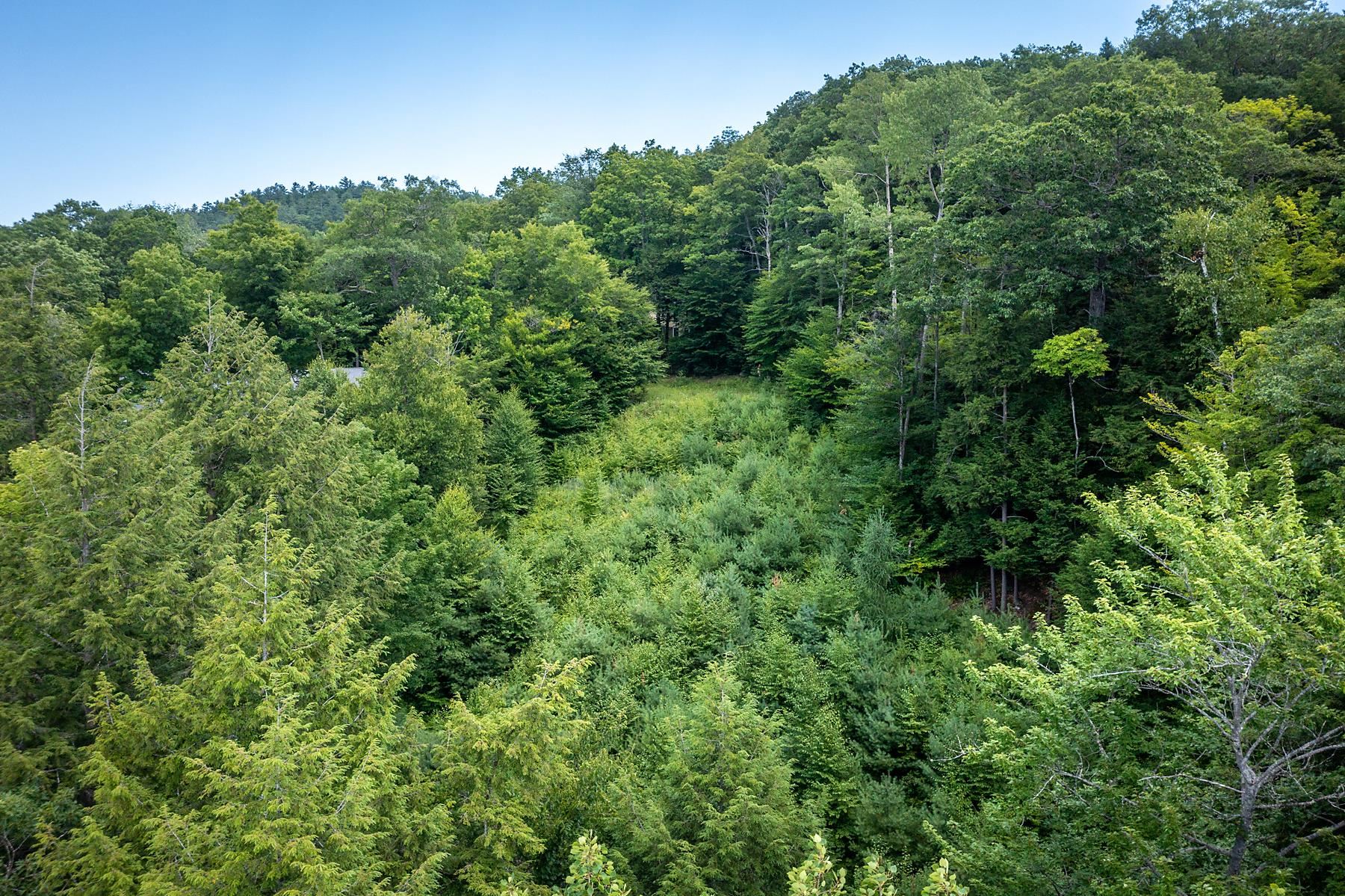 37 Low Road Hanover, NH 03755 - Photo 28 of 28