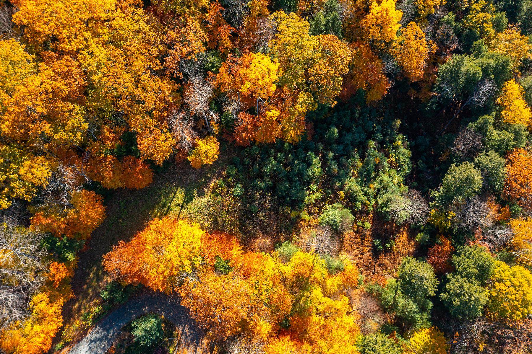 37 Low Road Hanover, NH 03755 - Photo 3 of 28