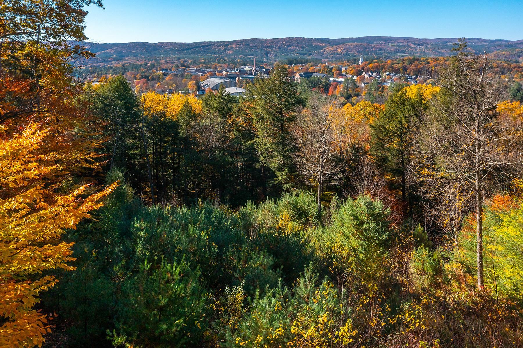 37 Low Road Hanover, NH 03755 - Photo 4 of 28