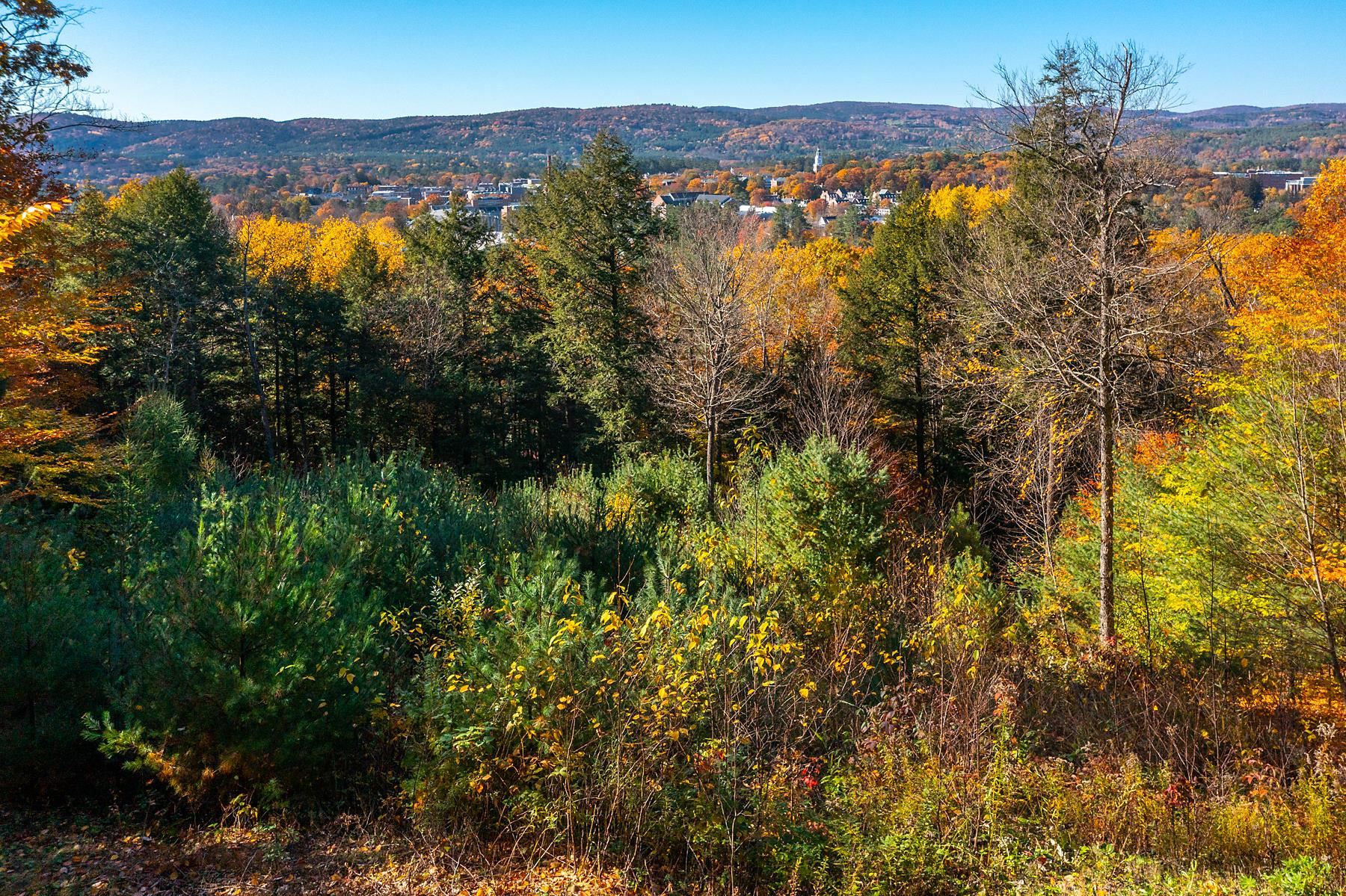 37 Low Road Hanover, NH 03755 - Photo 6 of 28