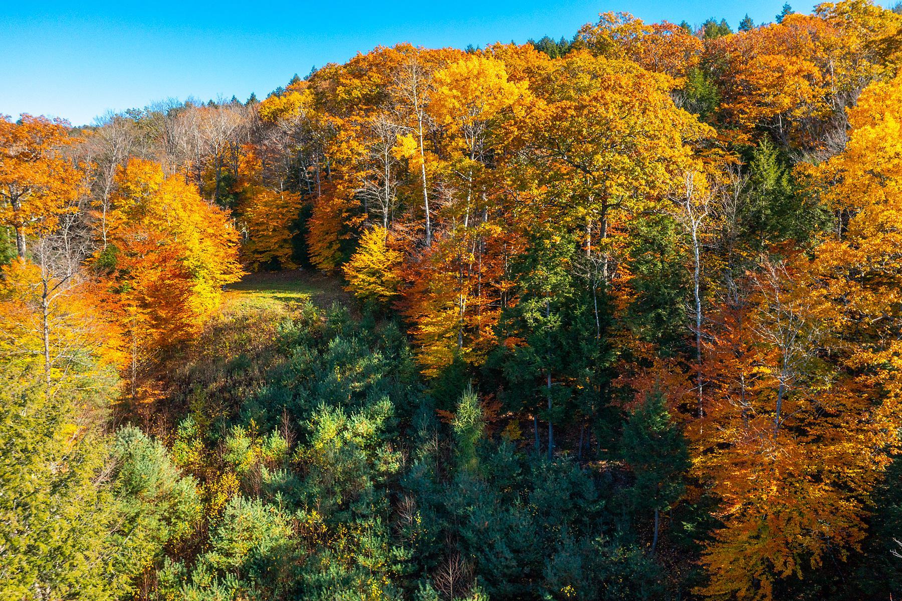 37 Low Road Hanover, NH 03755 - Photo 7 of 28