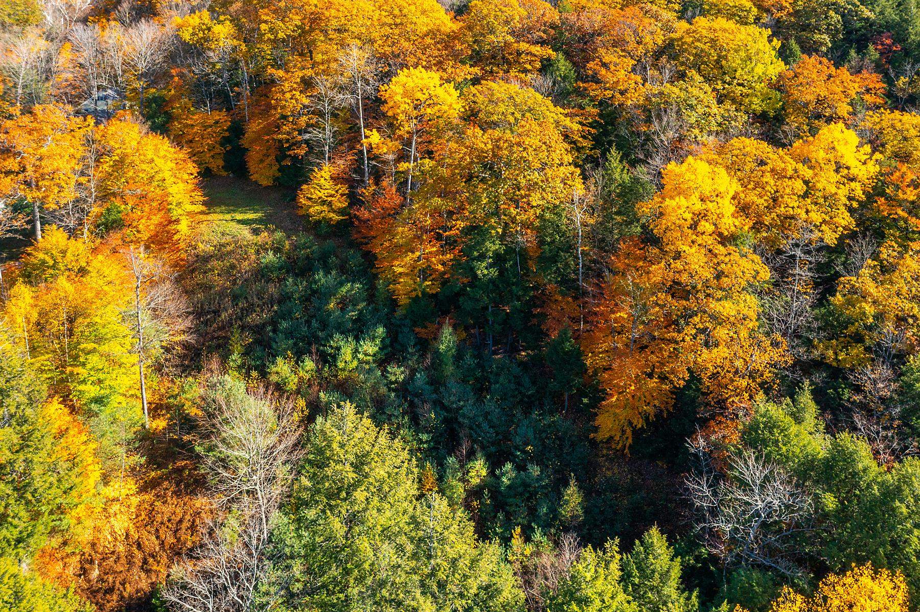 37 Low Road Hanover, NH 03755 - Photo 8 of 28