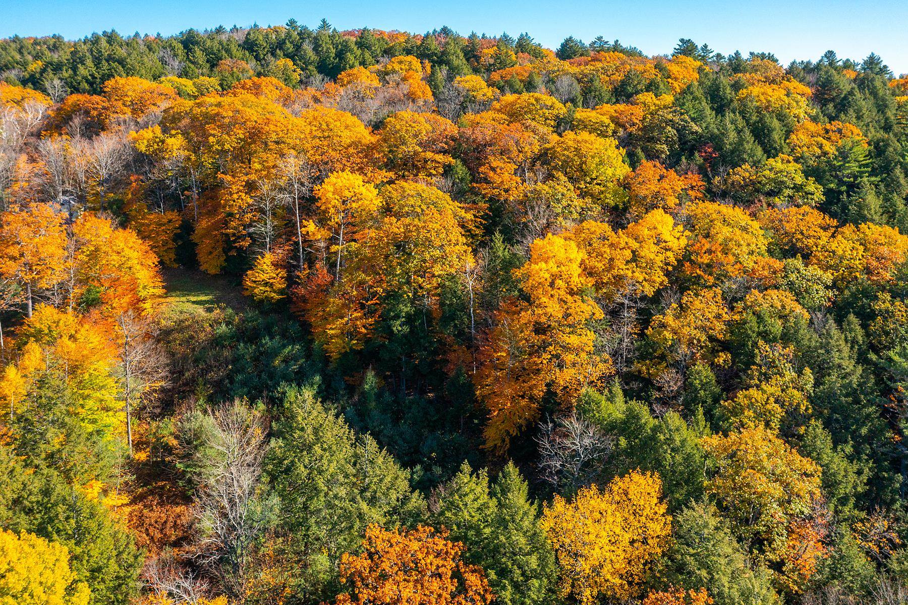 37 Low Road Hanover, NH 03755 - Photo 9 of 28
