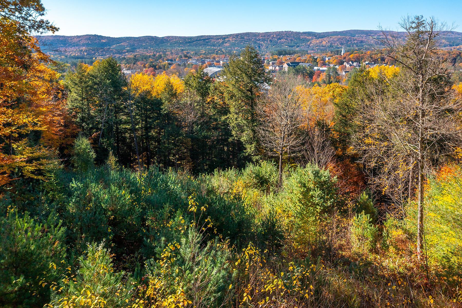 37 Low Road Hanover, NH 03755 - Photo 10 of 28