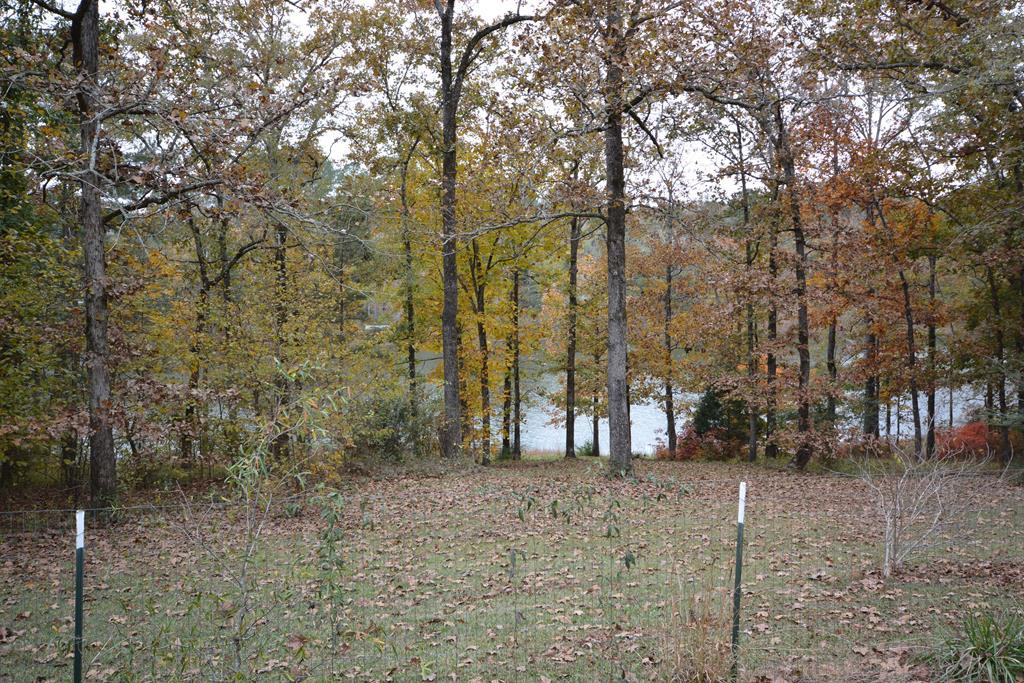 13 Creek Ridge Road Edgefield, SC 29824 - Photo 33 of 43