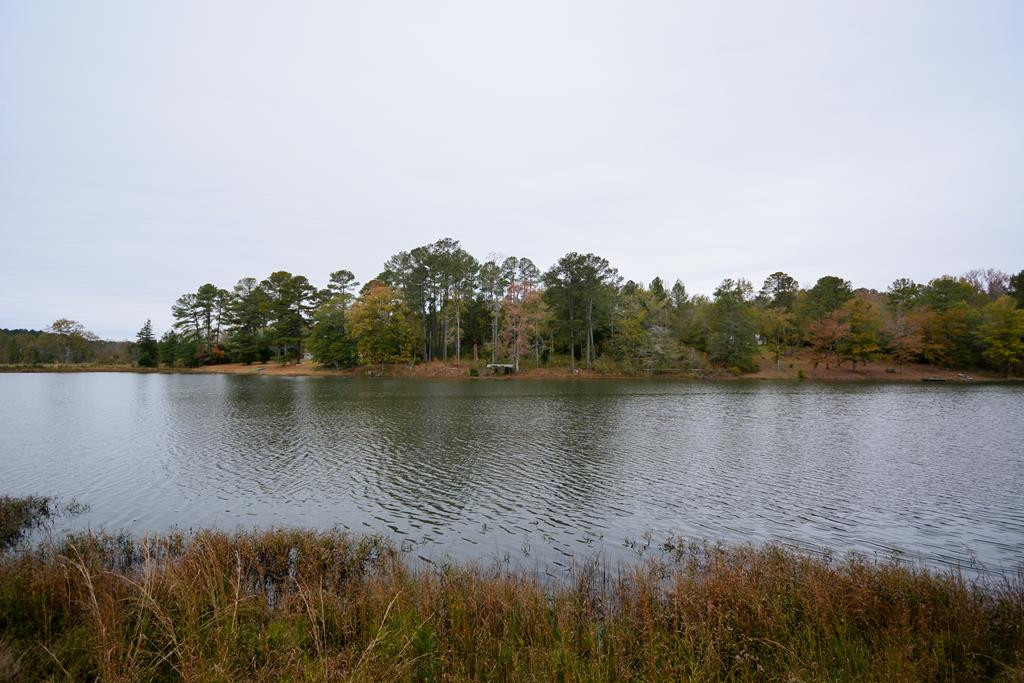 13 Creek Ridge Road Edgefield, SC 29824 - Photo 37 of 43