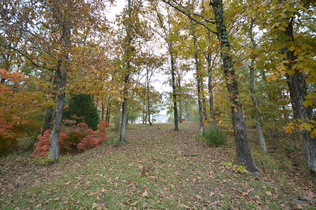 13 Creek Ridge Road Edgefield, SC 29824 - Photo 38 of 43