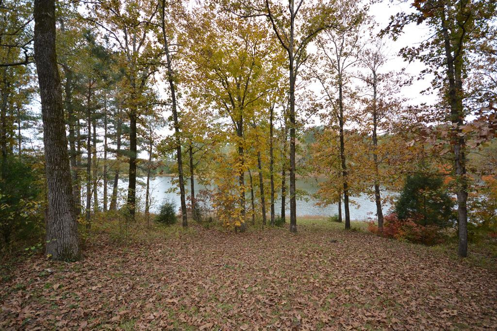 13 Creek Ridge Road Edgefield, SC 29824 - Photo 40 of 43