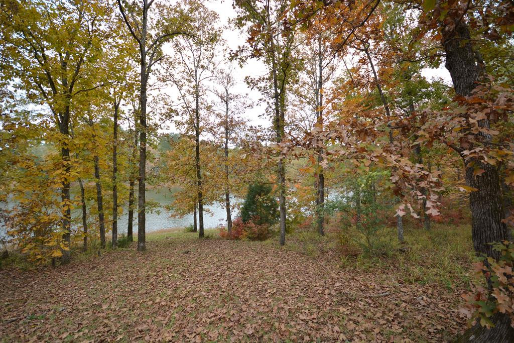 13 Creek Ridge Road Edgefield, SC 29824 - Photo 41 of 43