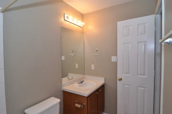 a bathroom with a sink toilet and vanity