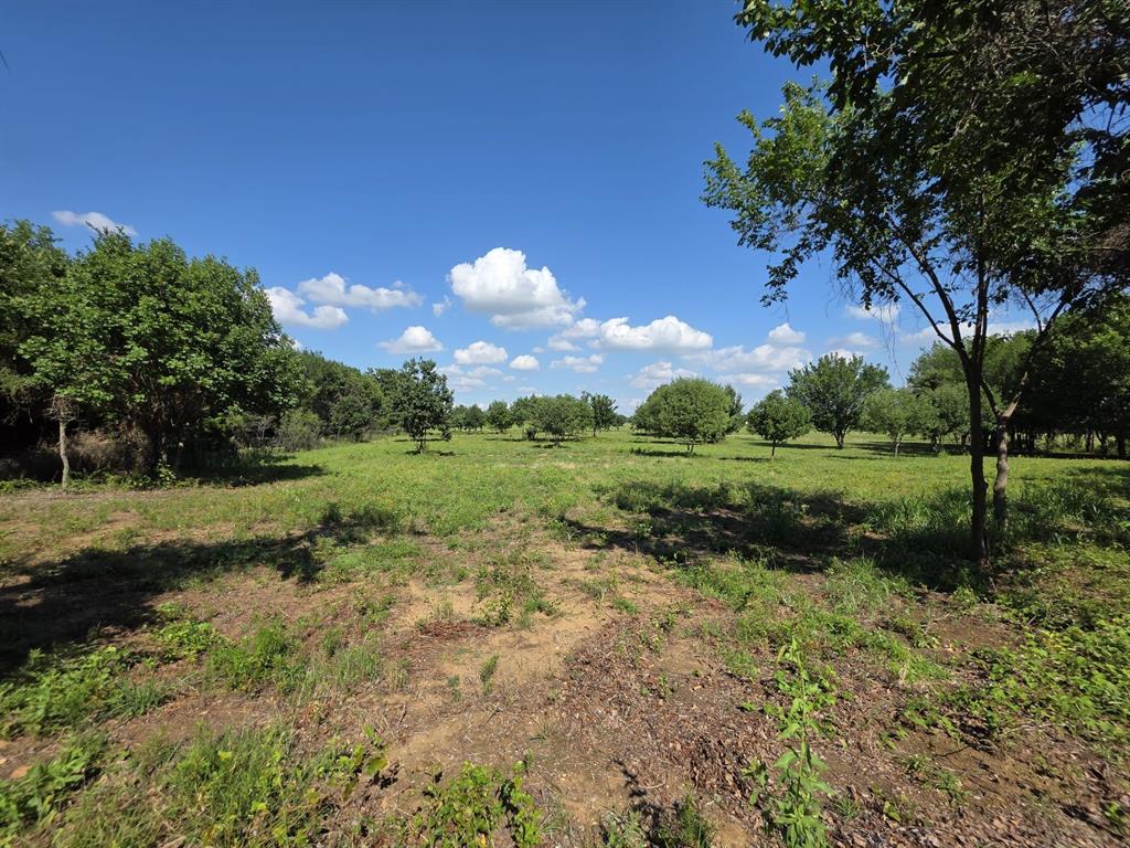 a view of a green field with wooden fence