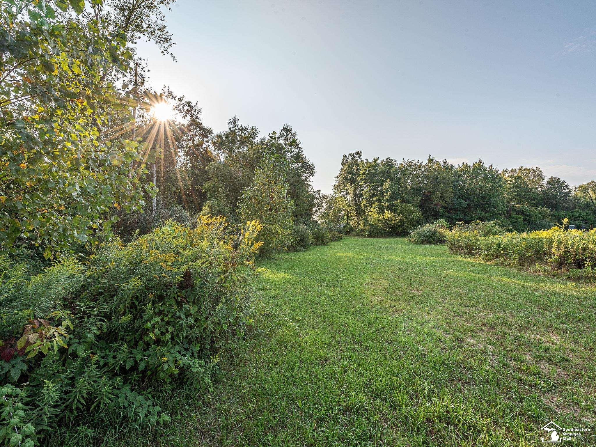 12217 Ostrander Road Maybee, MI 48159 - Photo 16 of 23 Gallery Image 16
