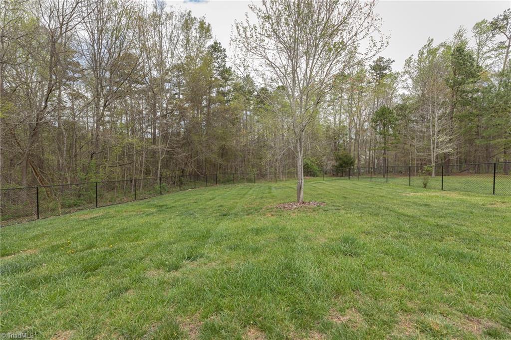 3605 Alamance Church Road Julian, NC 27283 - Photo 44 of 50 Gallery Image 44