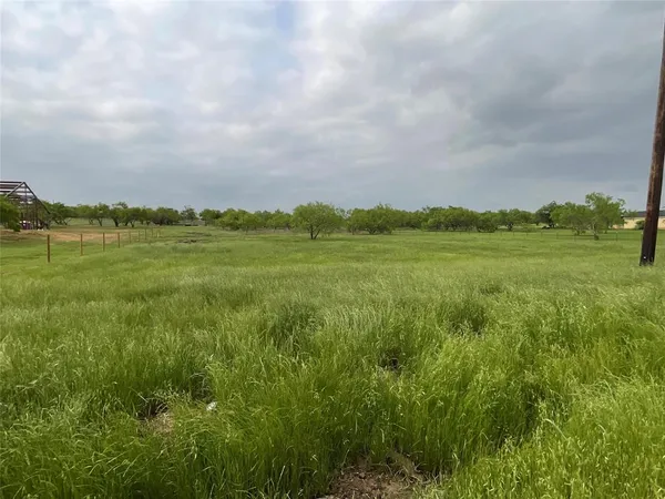 a view of an ocean from a yard